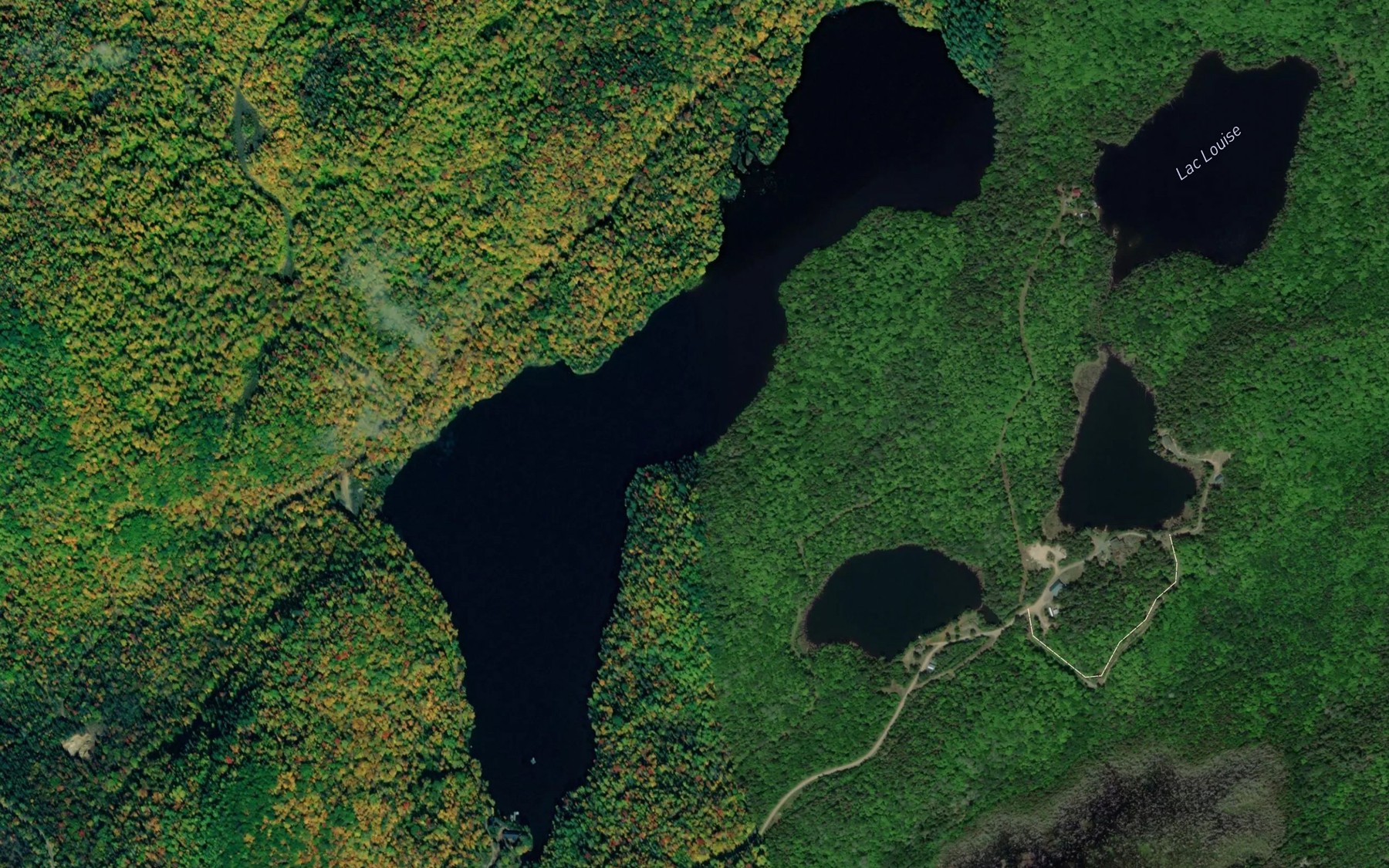 Satellite map of the Lac du Pic Eleve