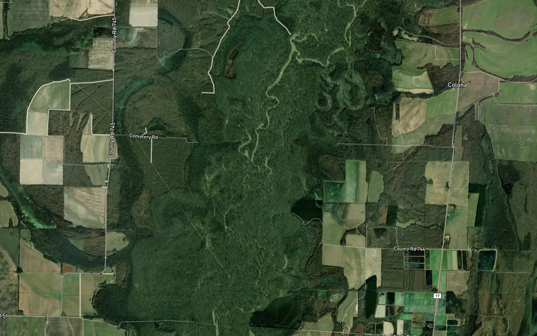 Satellite map of the Bird Lake