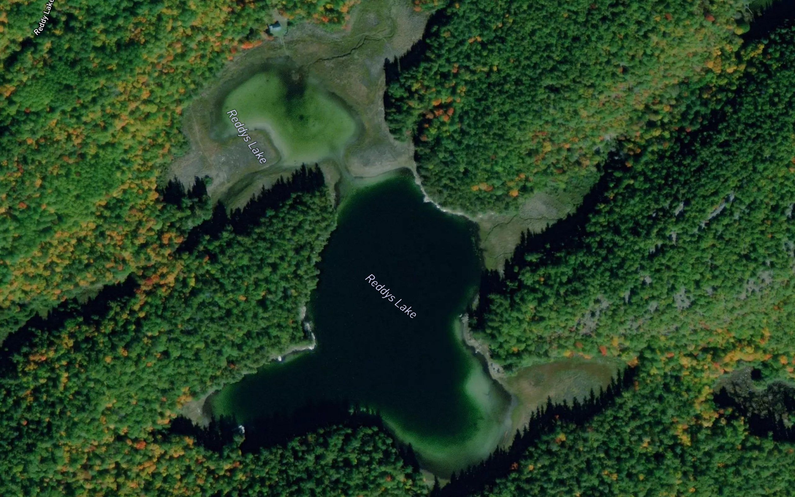 Reddys Lake
