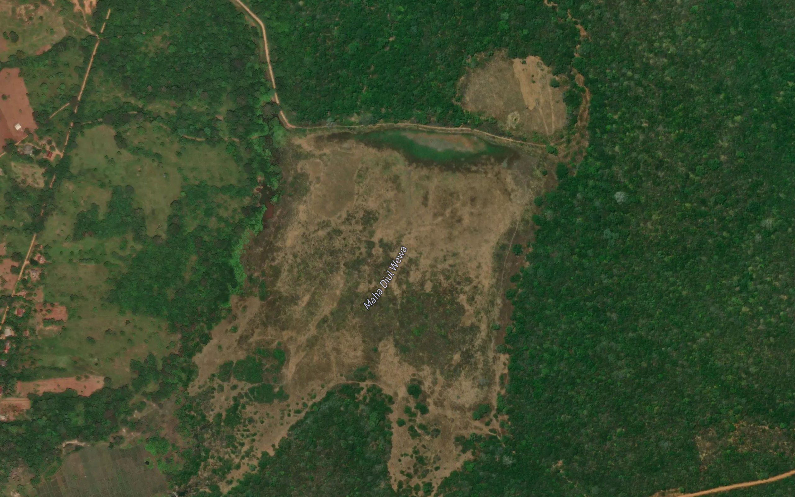 Maha Diwul Wewa
