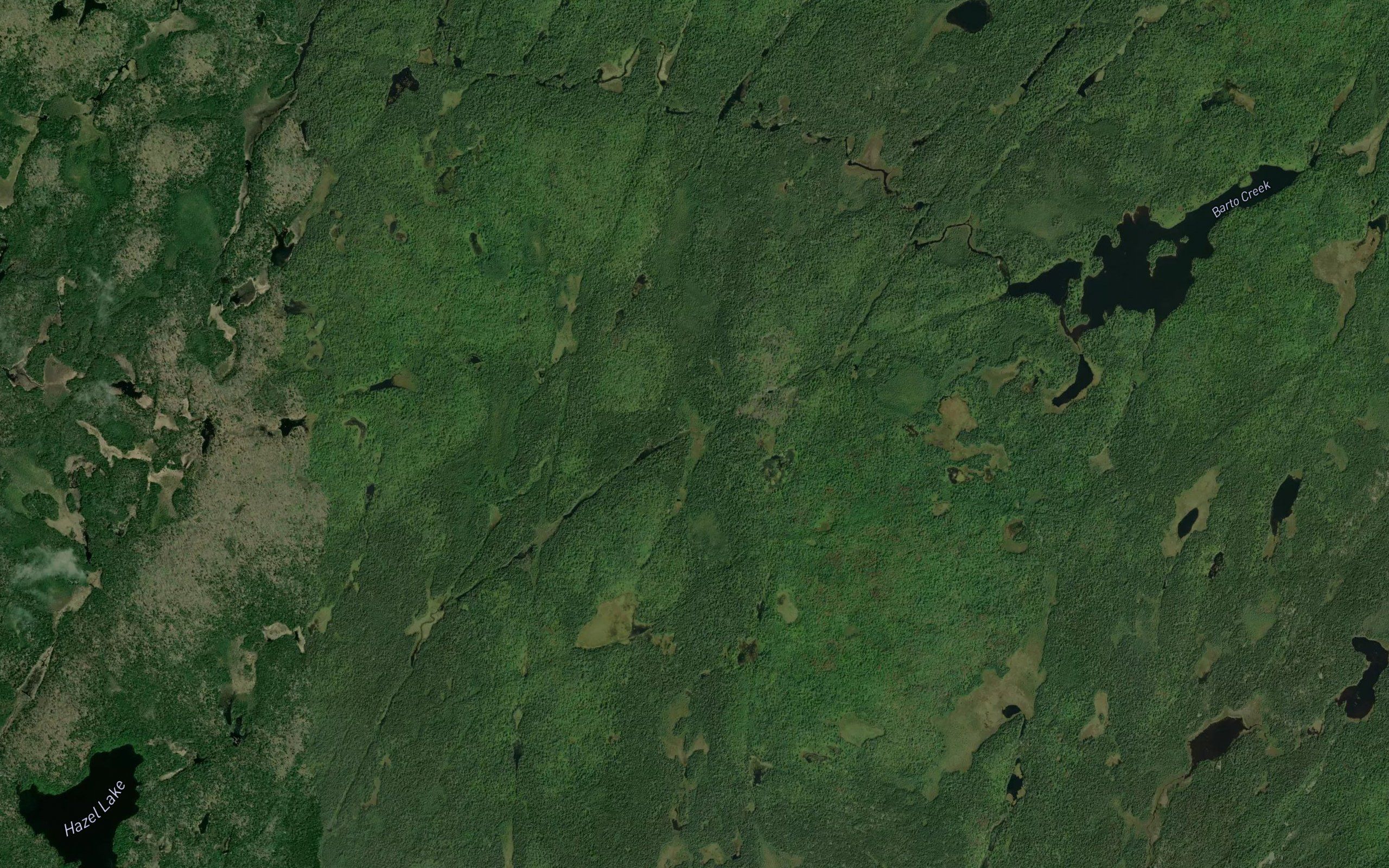 Whelp Lake