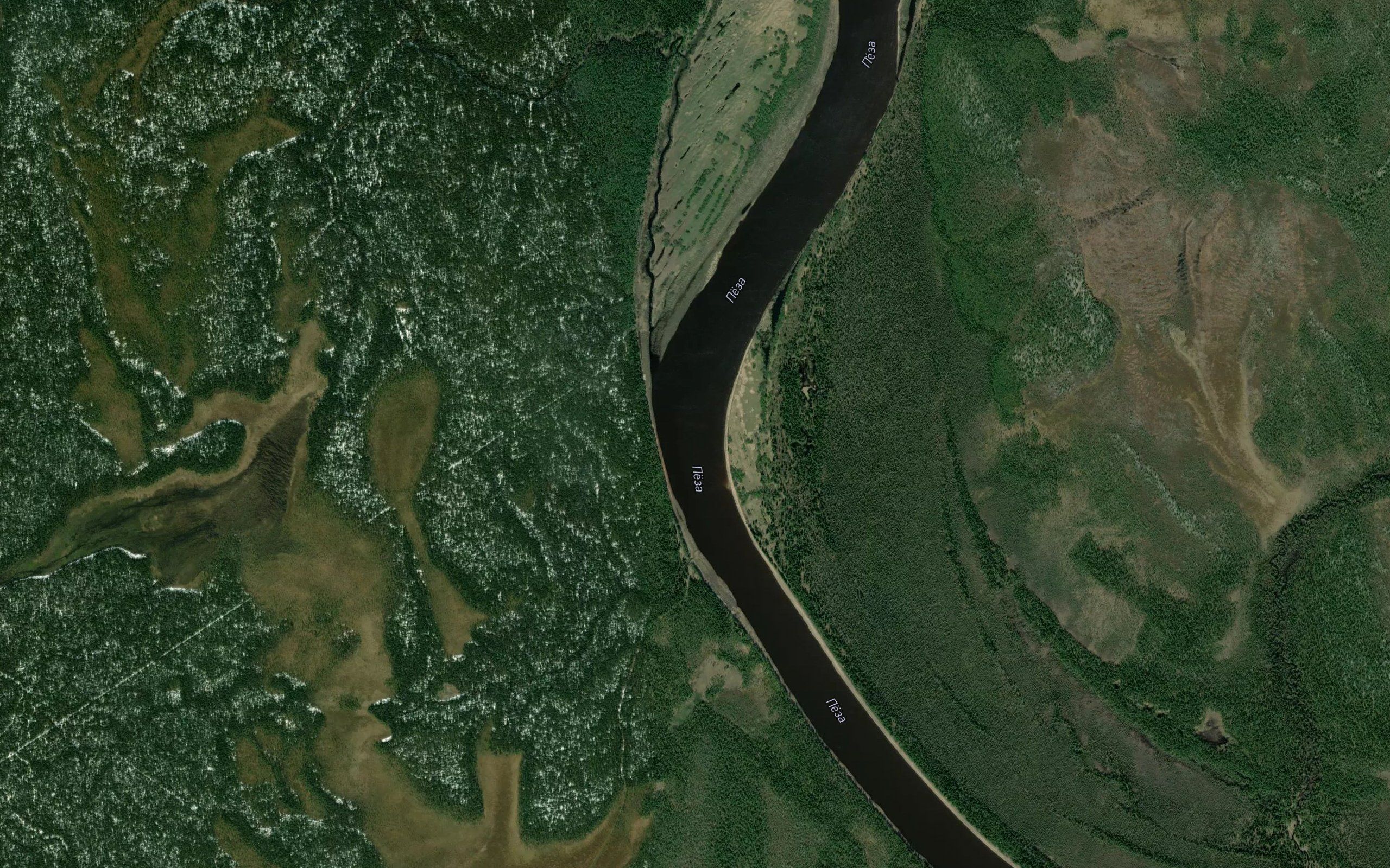 Berezovyy