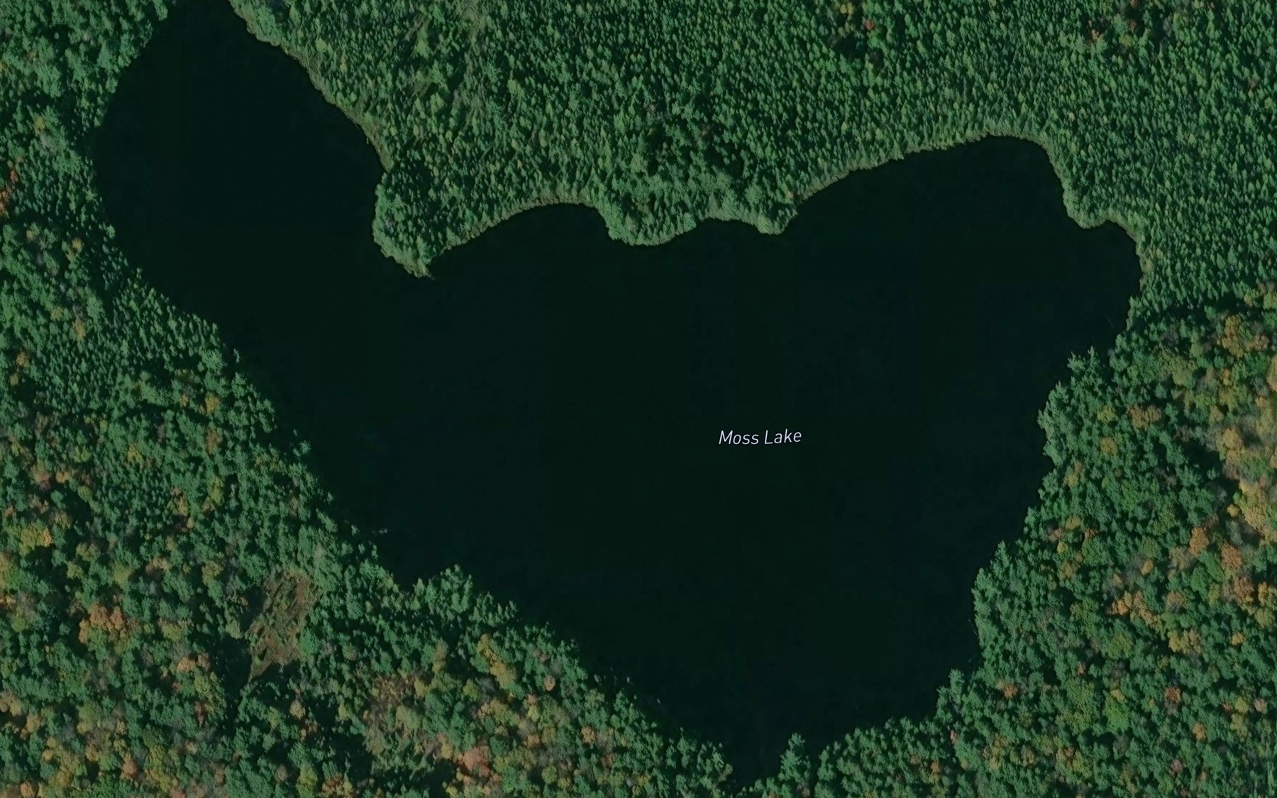 Satellite map of the Moss Lake