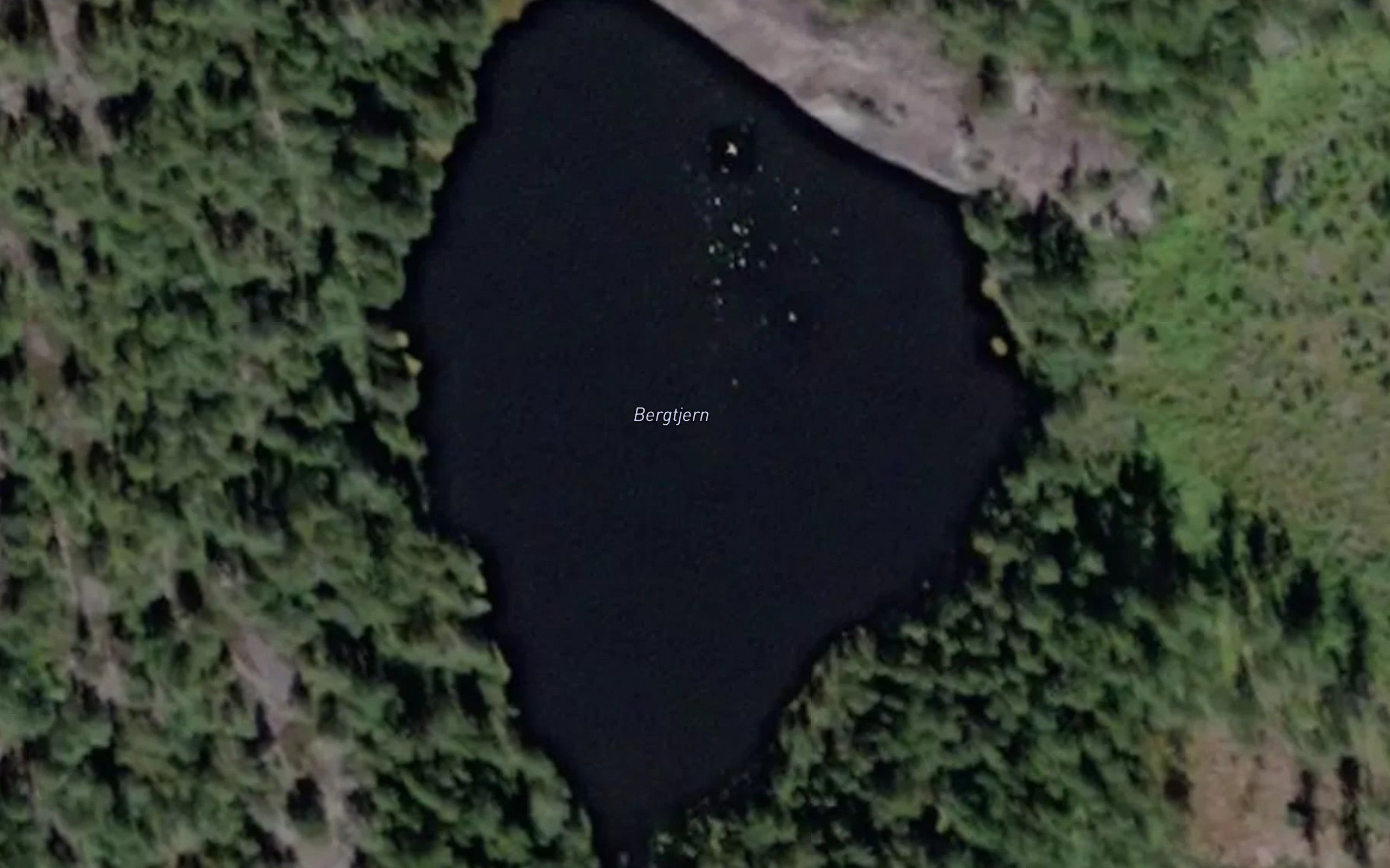 Bergtjern