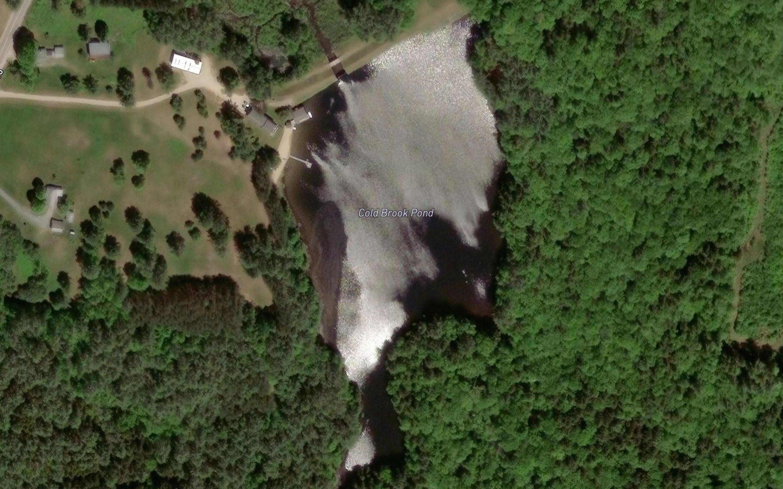 Cold Brook Pond