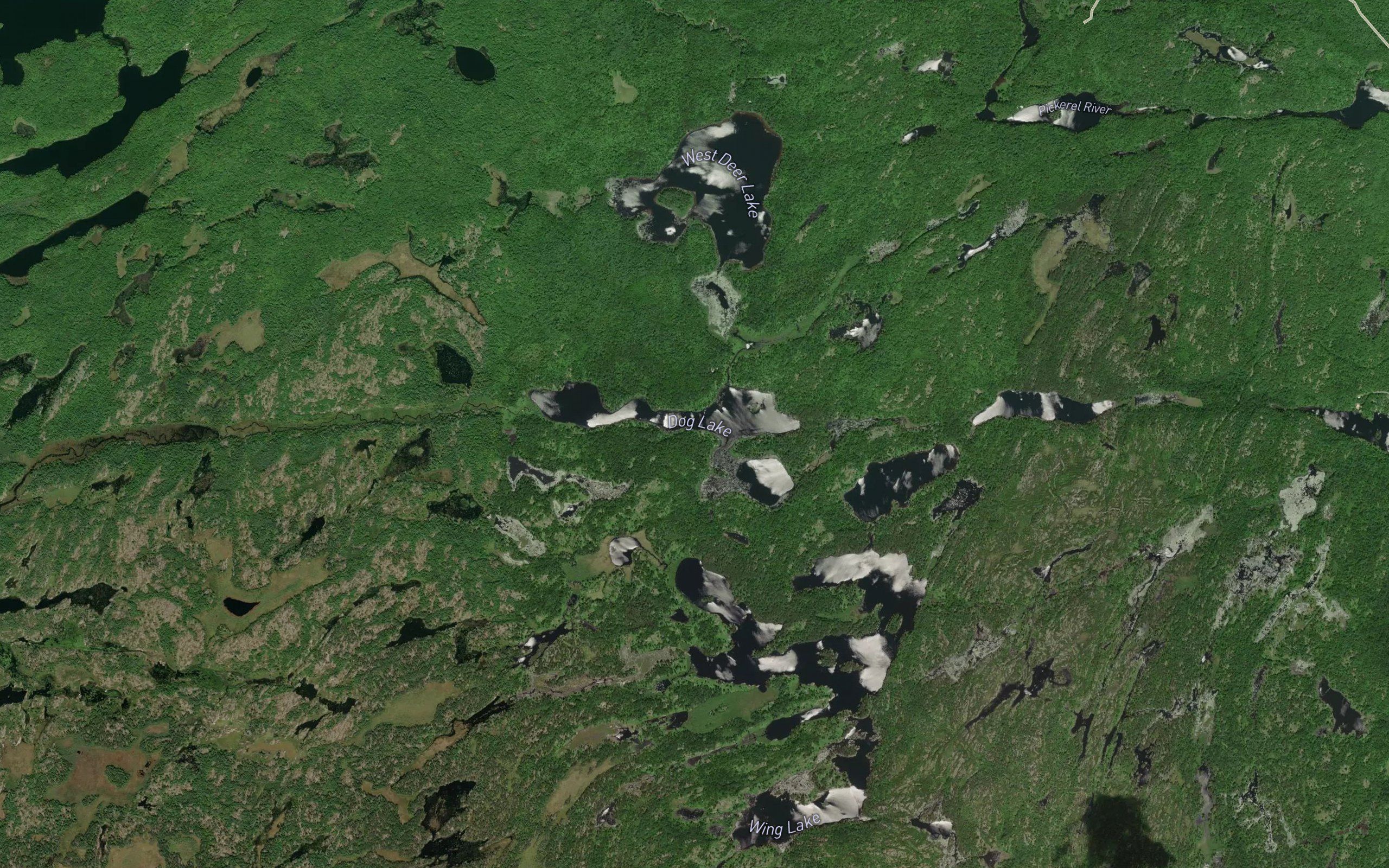 Dog Lake