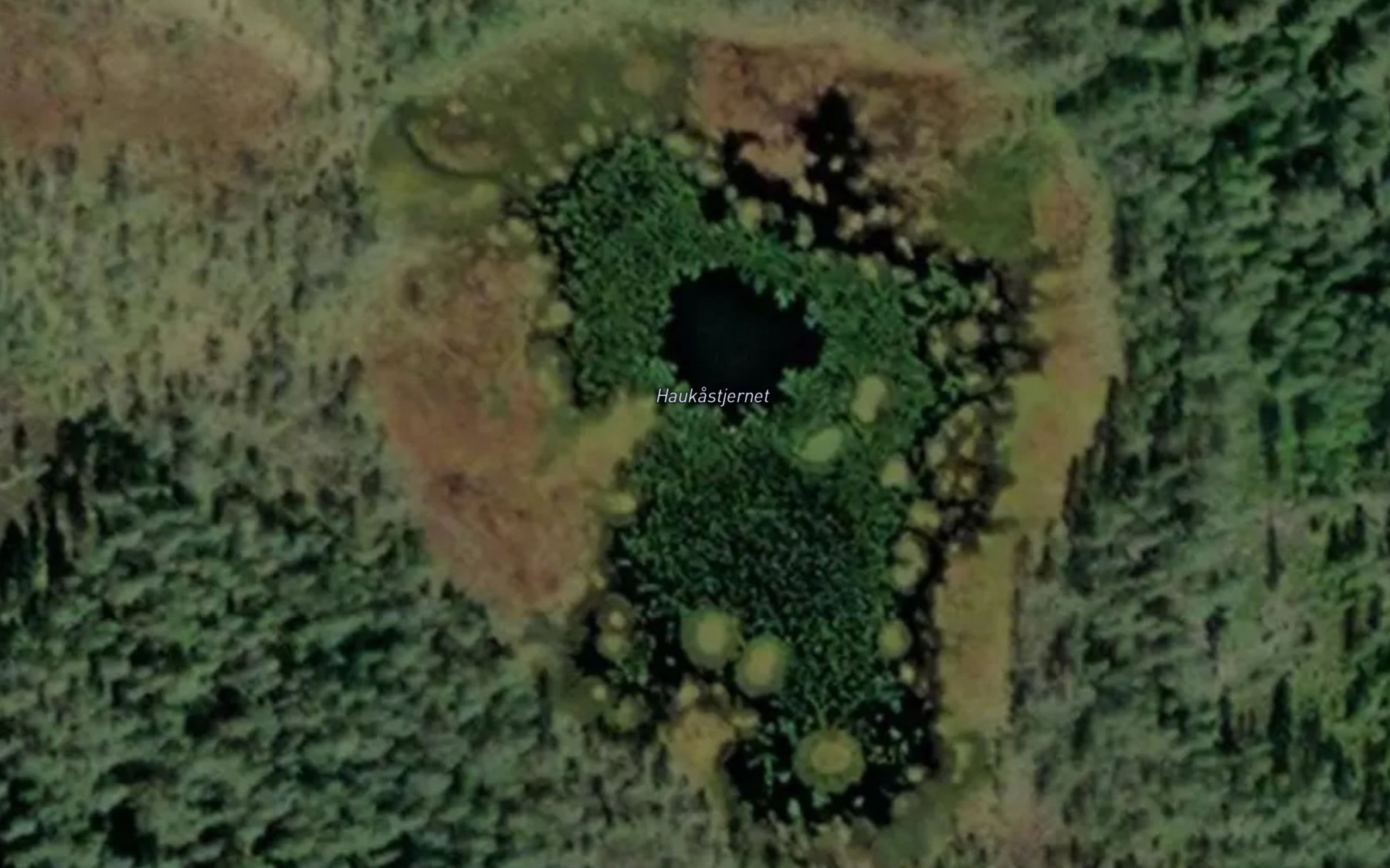 Satellite map of the Haukastjernet