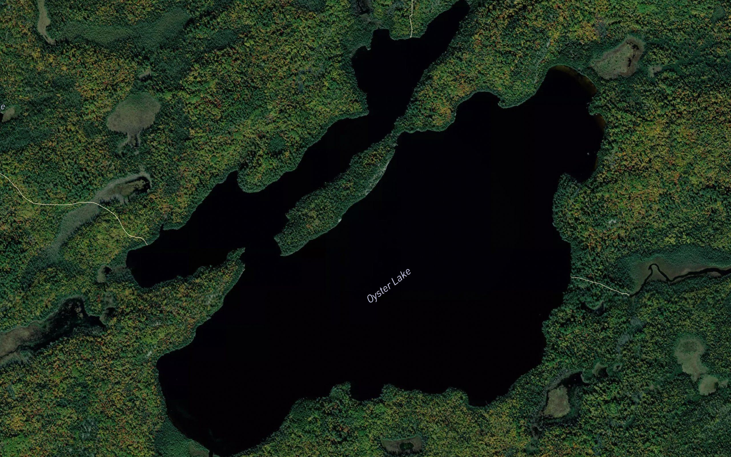 Oyster Lake