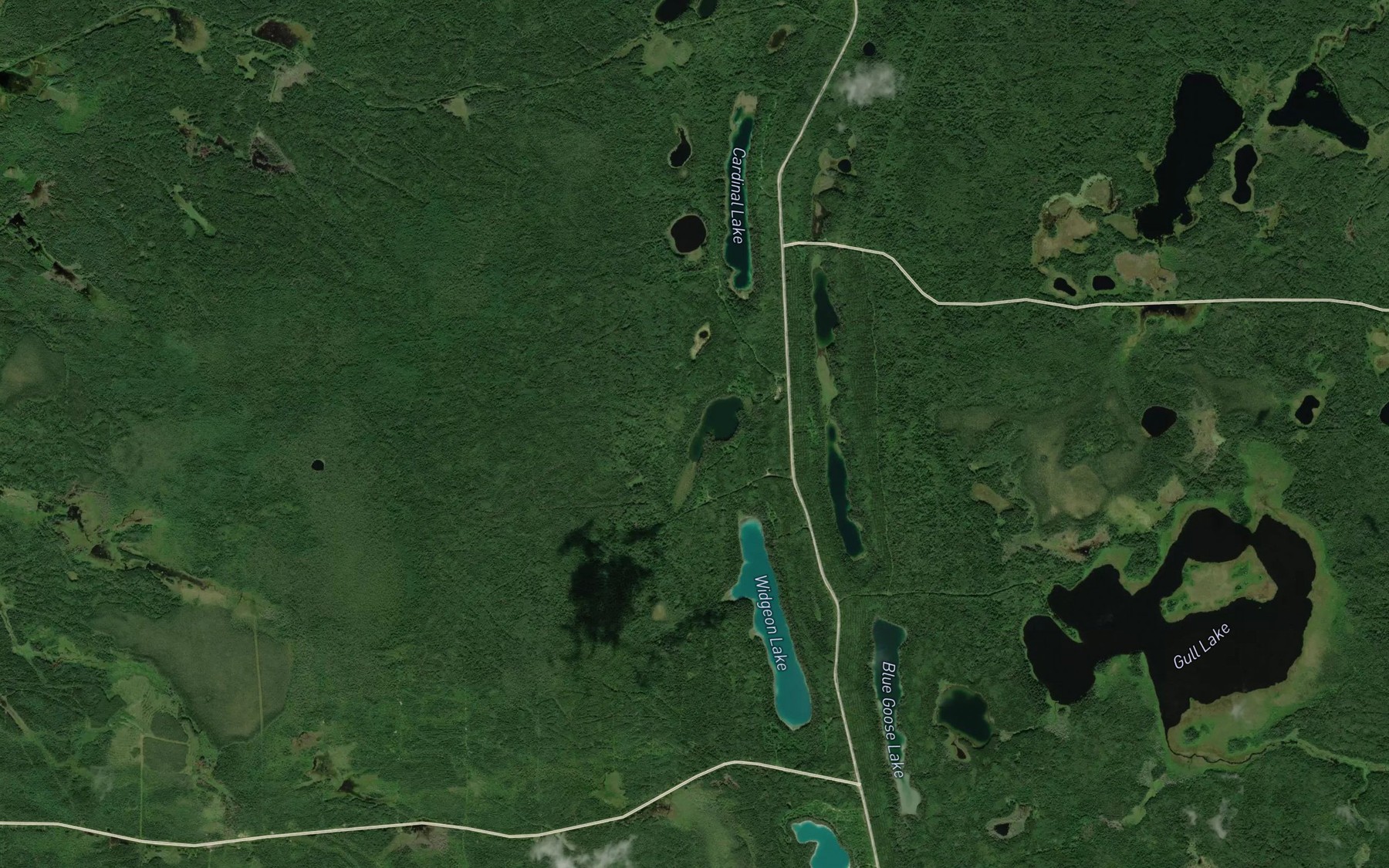 Satellite map of the Pintail Lake