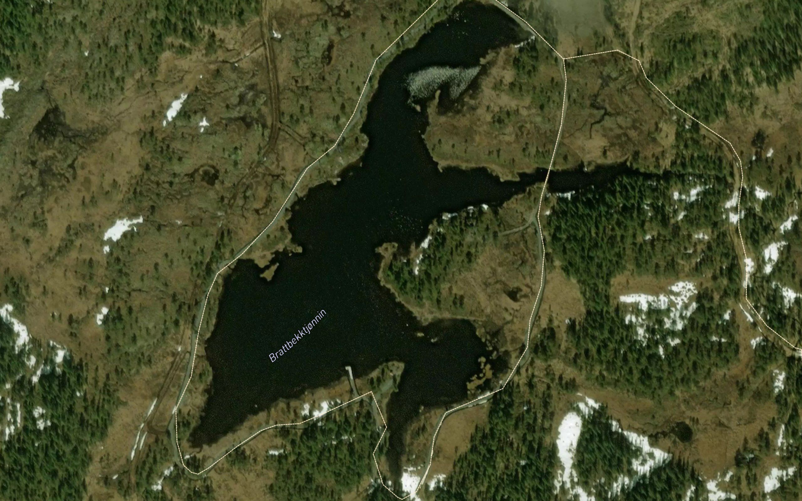 Brattbekktjonna