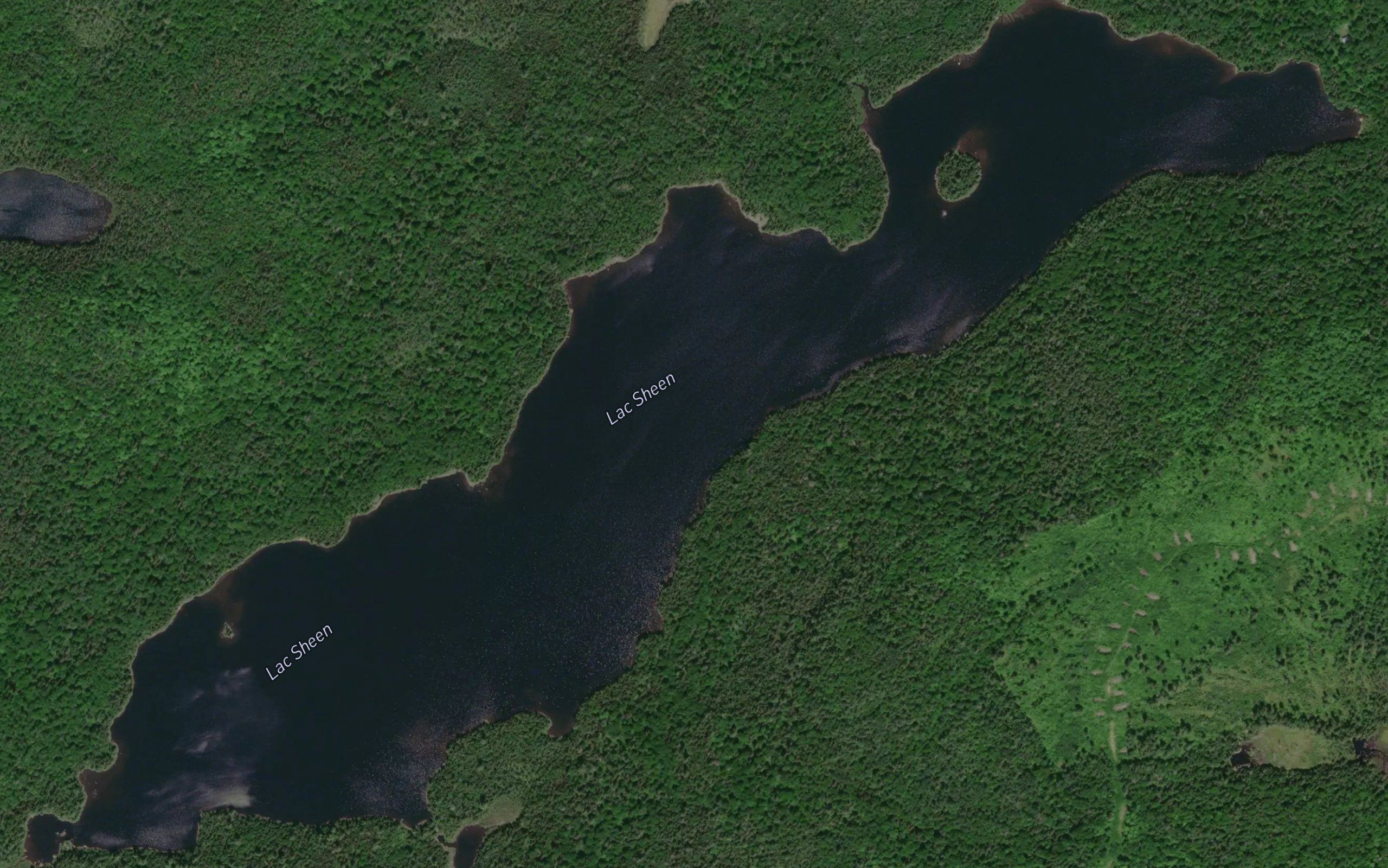 Lac Sheen