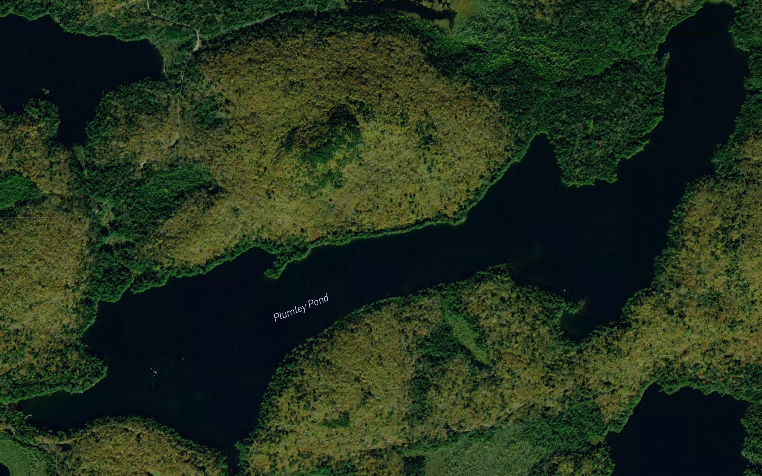 Plumley Pond