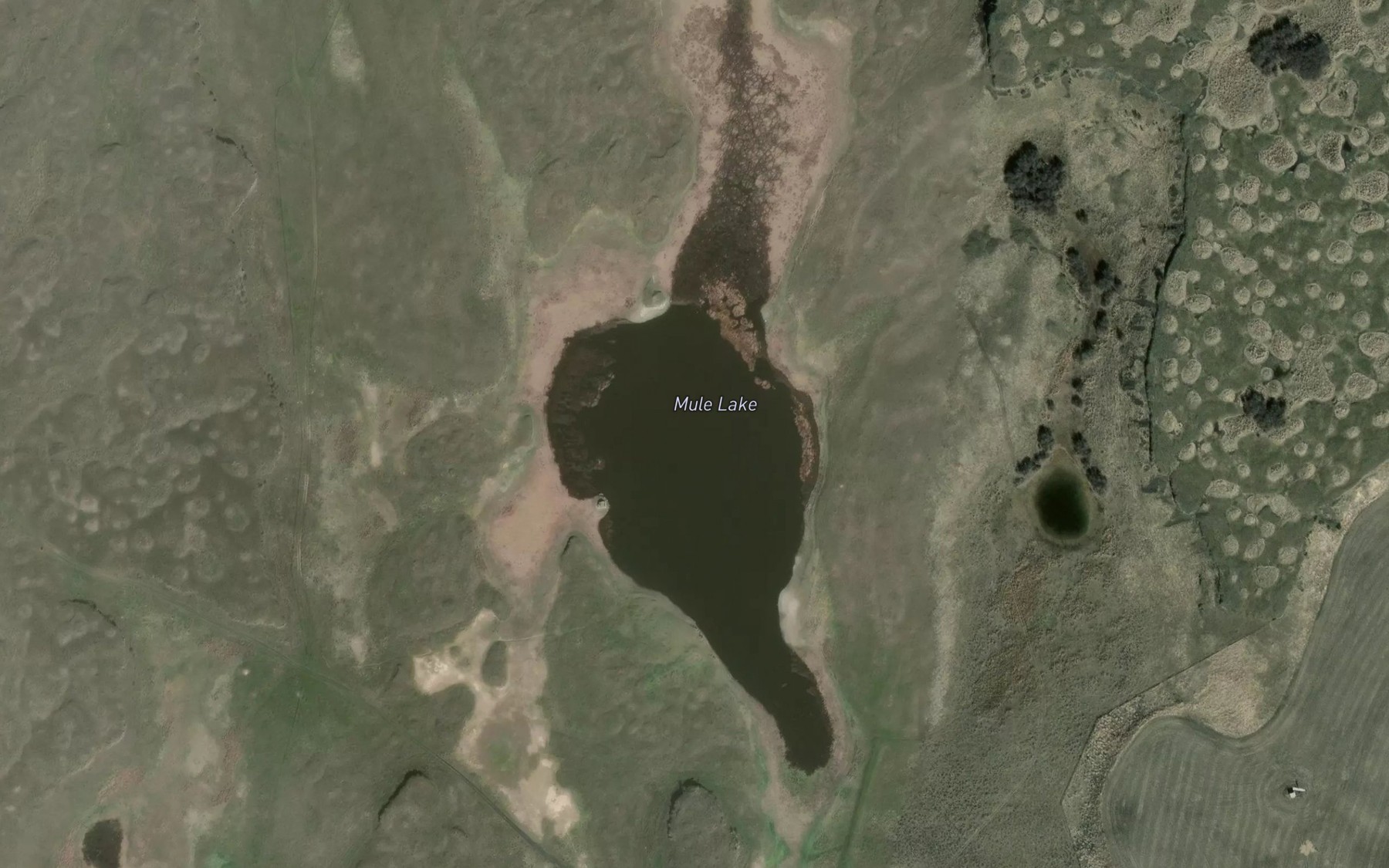 Satellite map of the Mule Lake