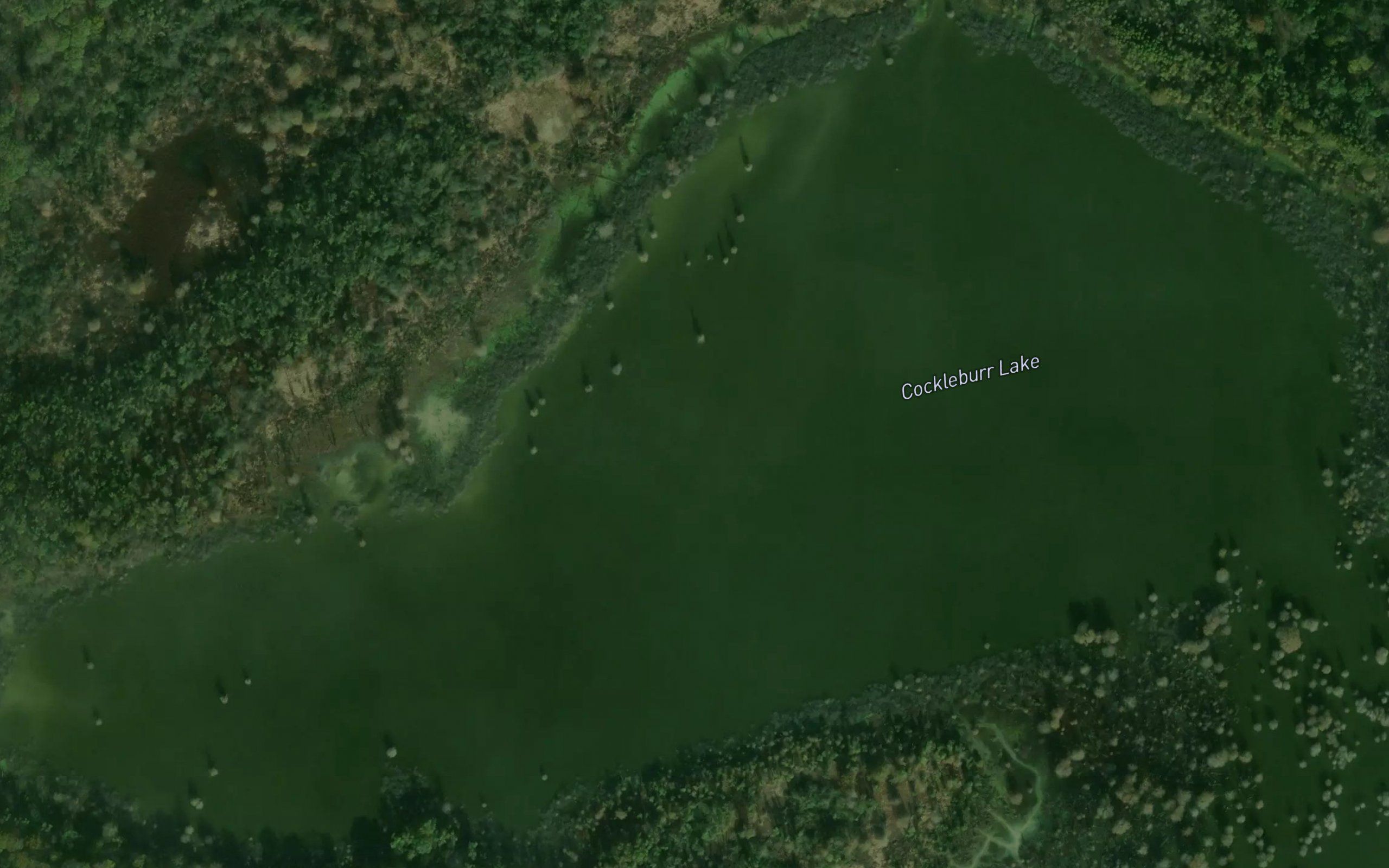 Cockleburr Lake