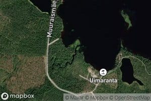 Saunajoki