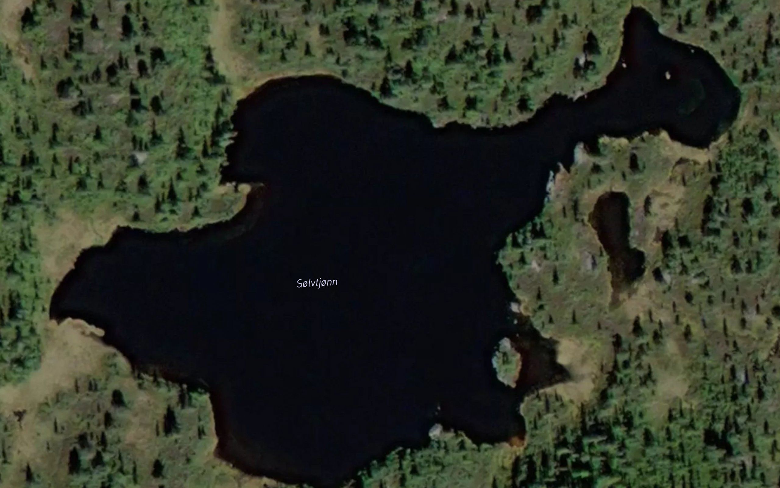 Solvtjorn
