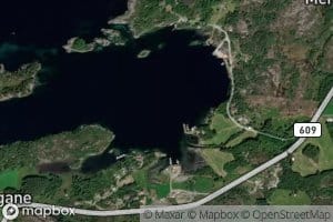 Nervika