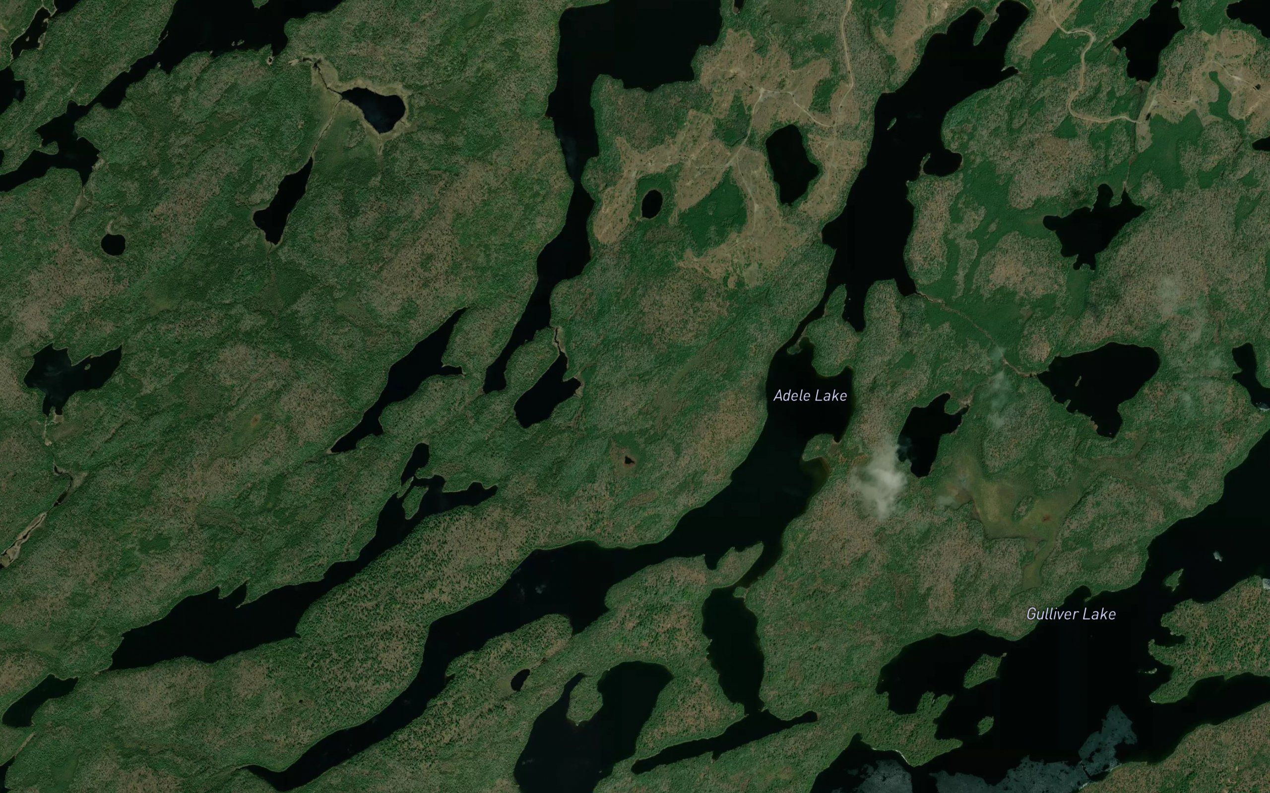 Adele Lake