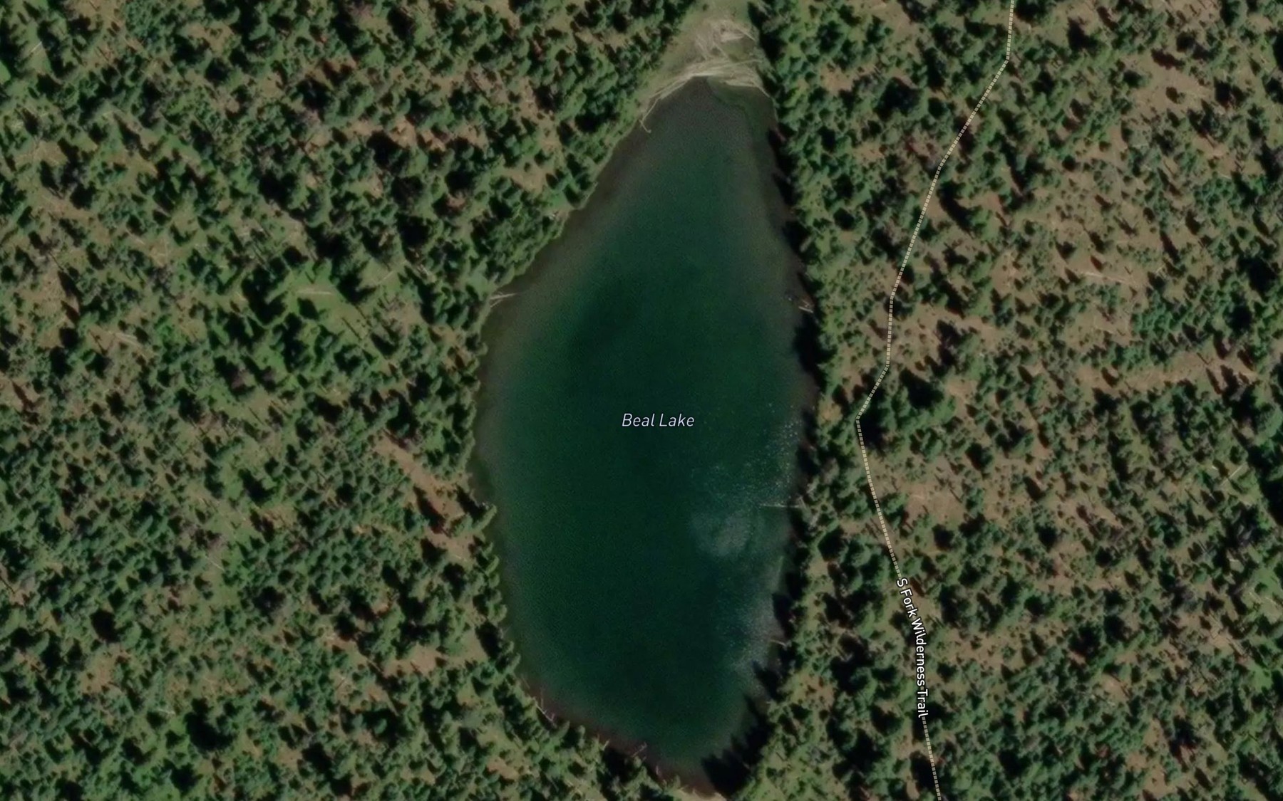 Satellite map of the Beal Lake