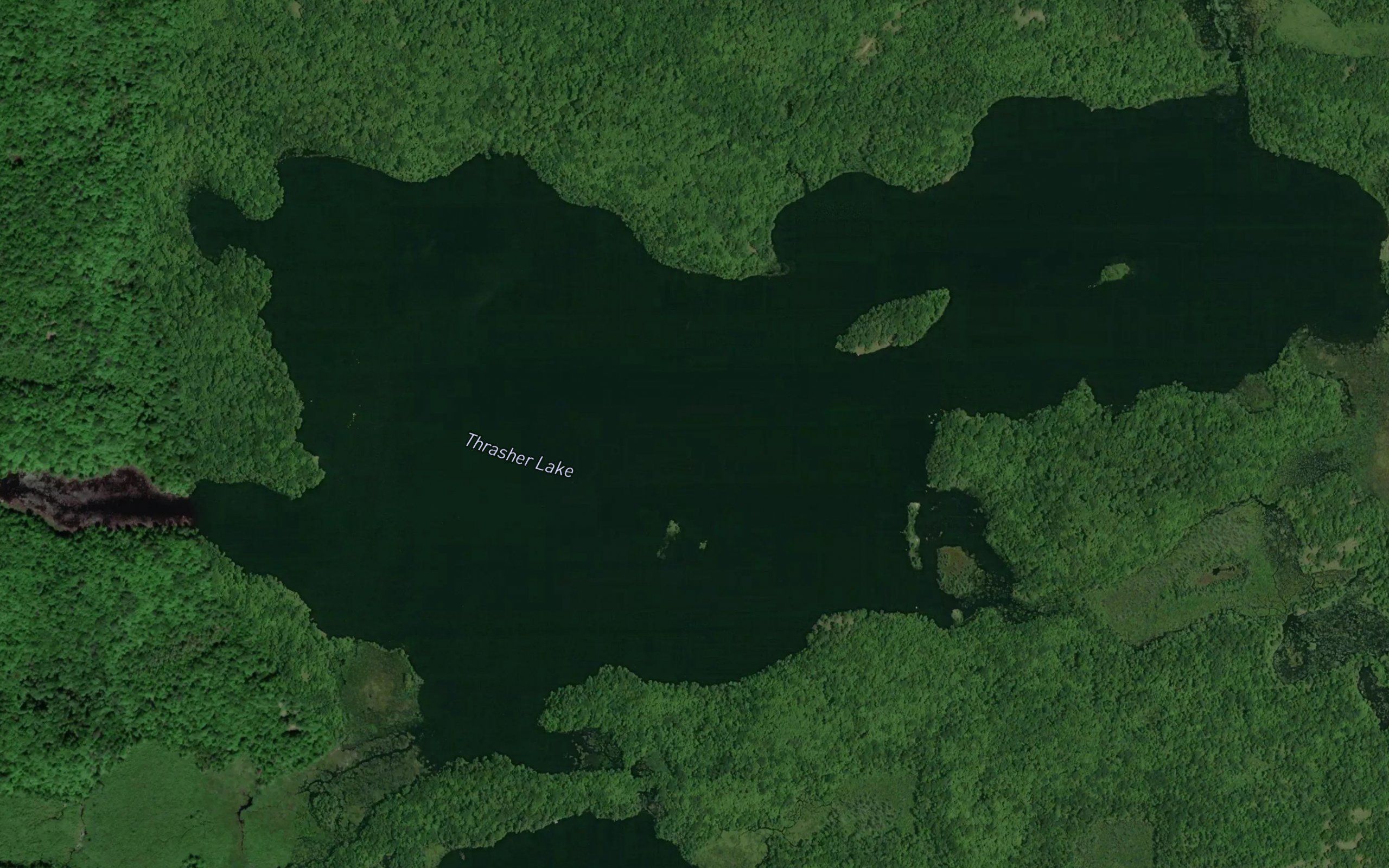Thrasher Lake