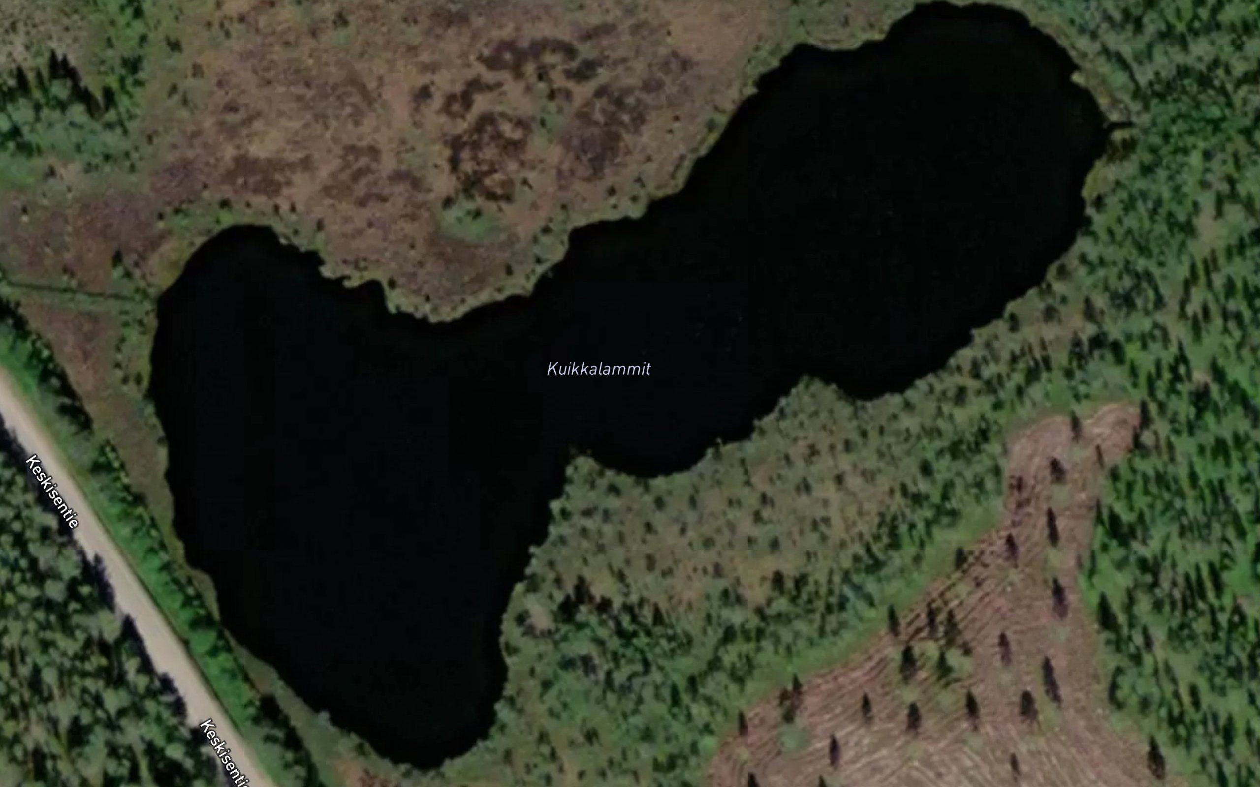 Kuikkalammit