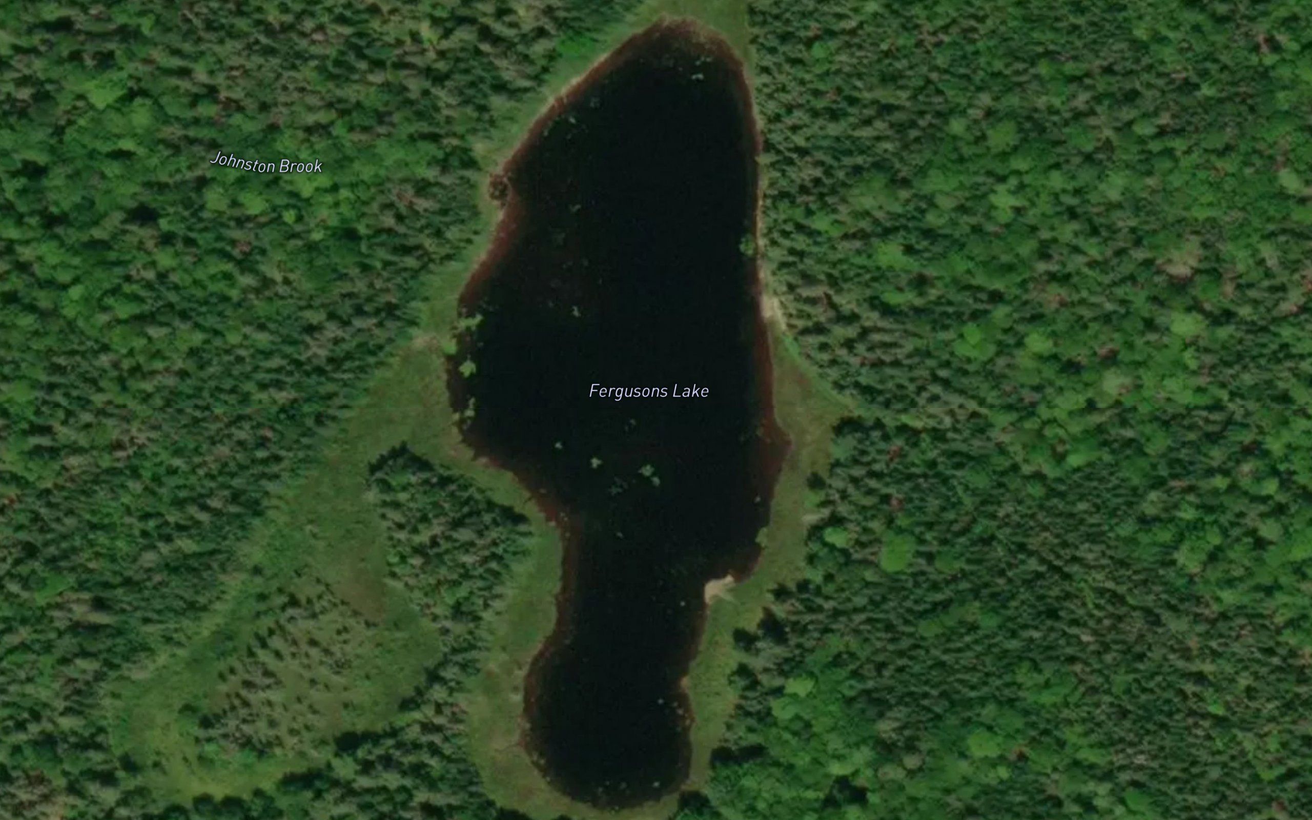 Fergusons Lake