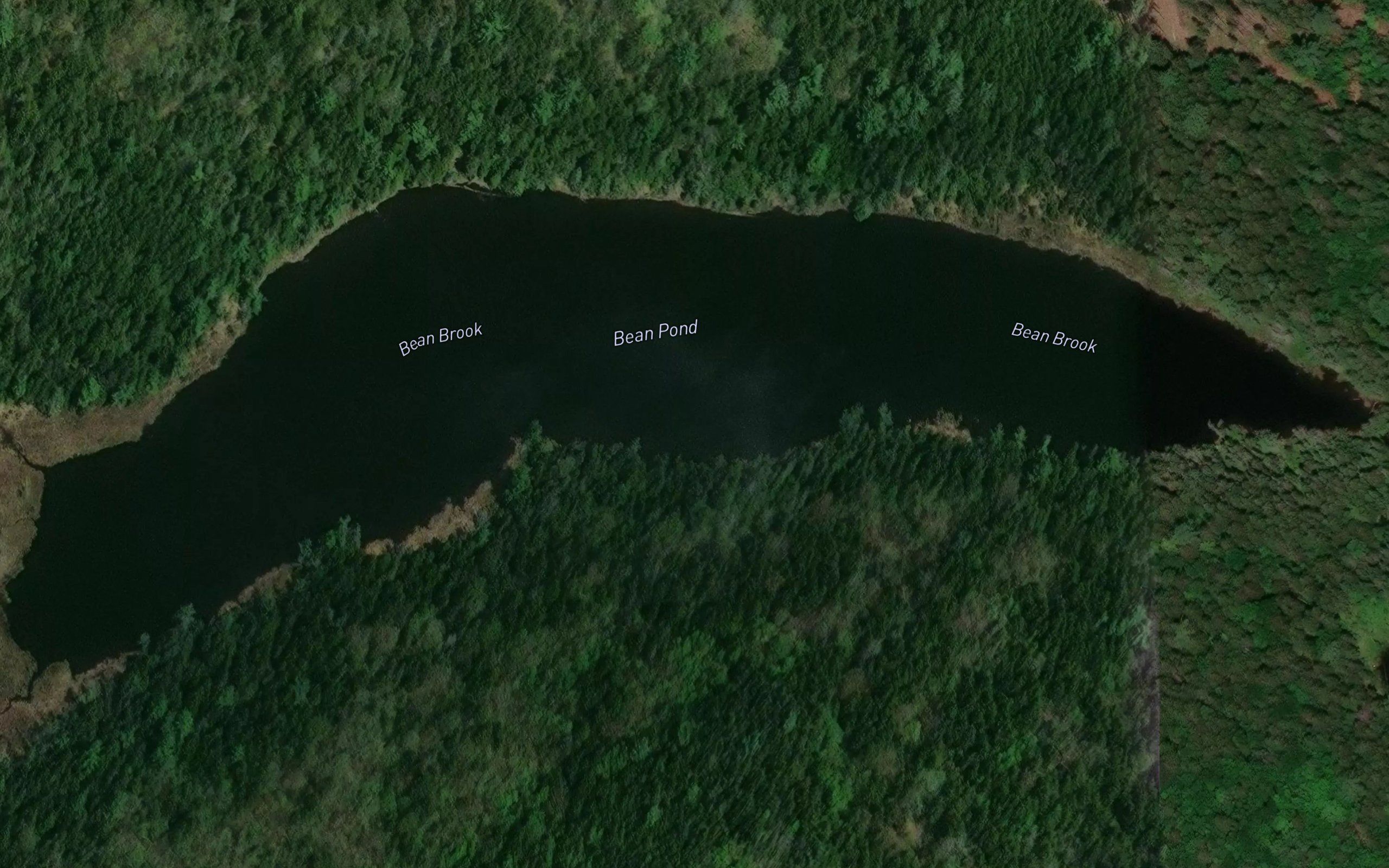 Bean Pond