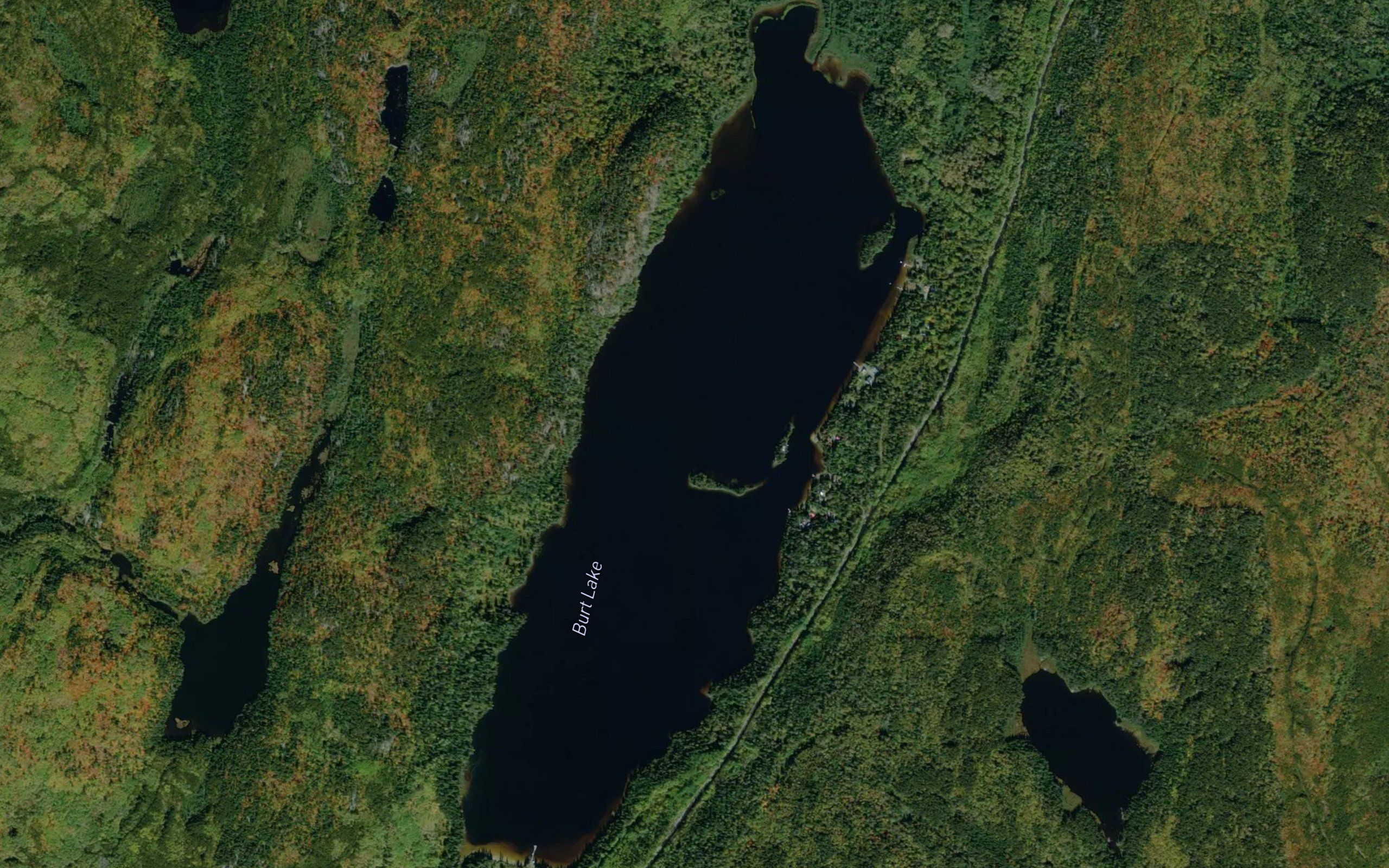 Burt Lake