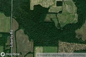 Cotton Creek