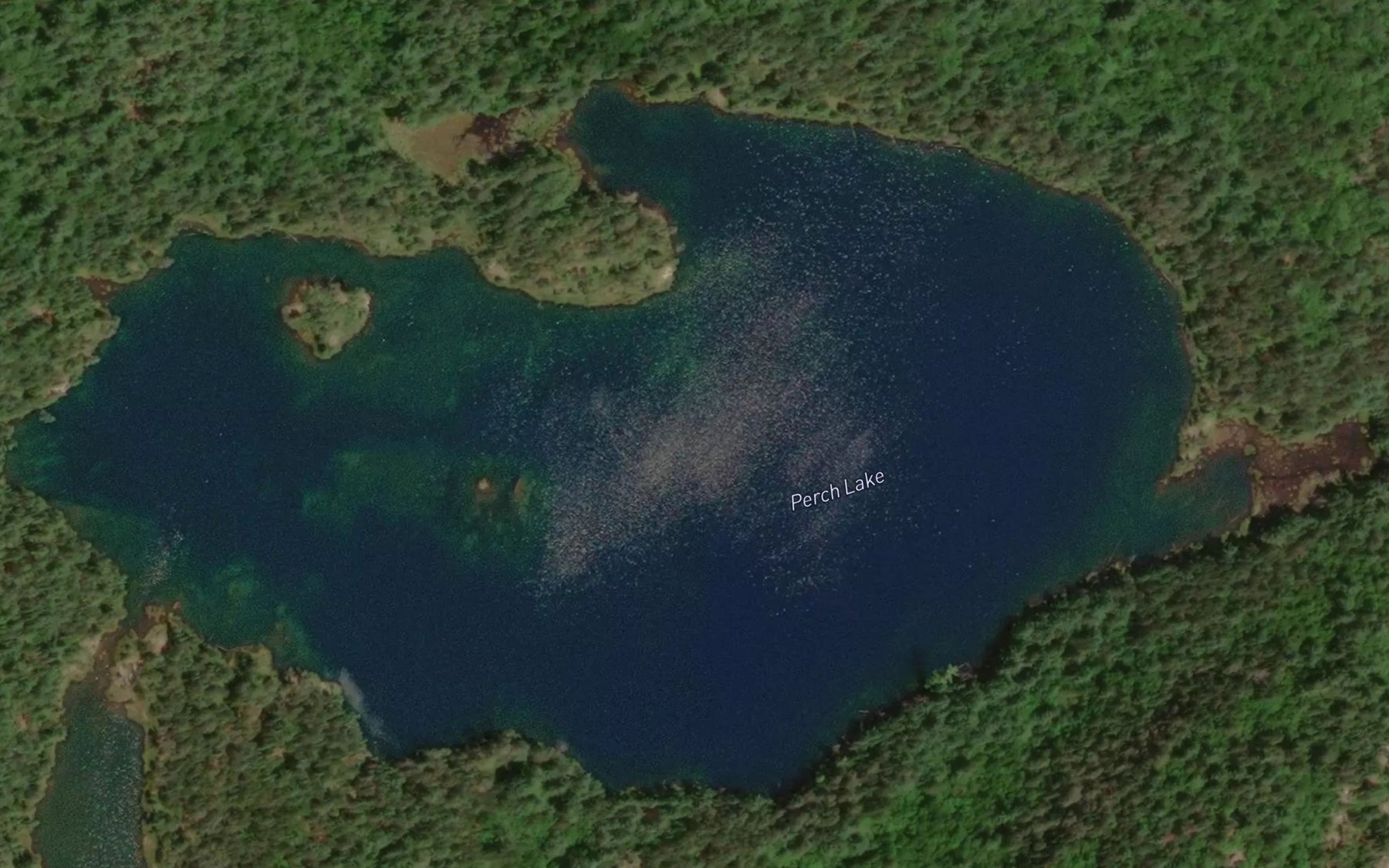 Satellite map of the Perch Lake