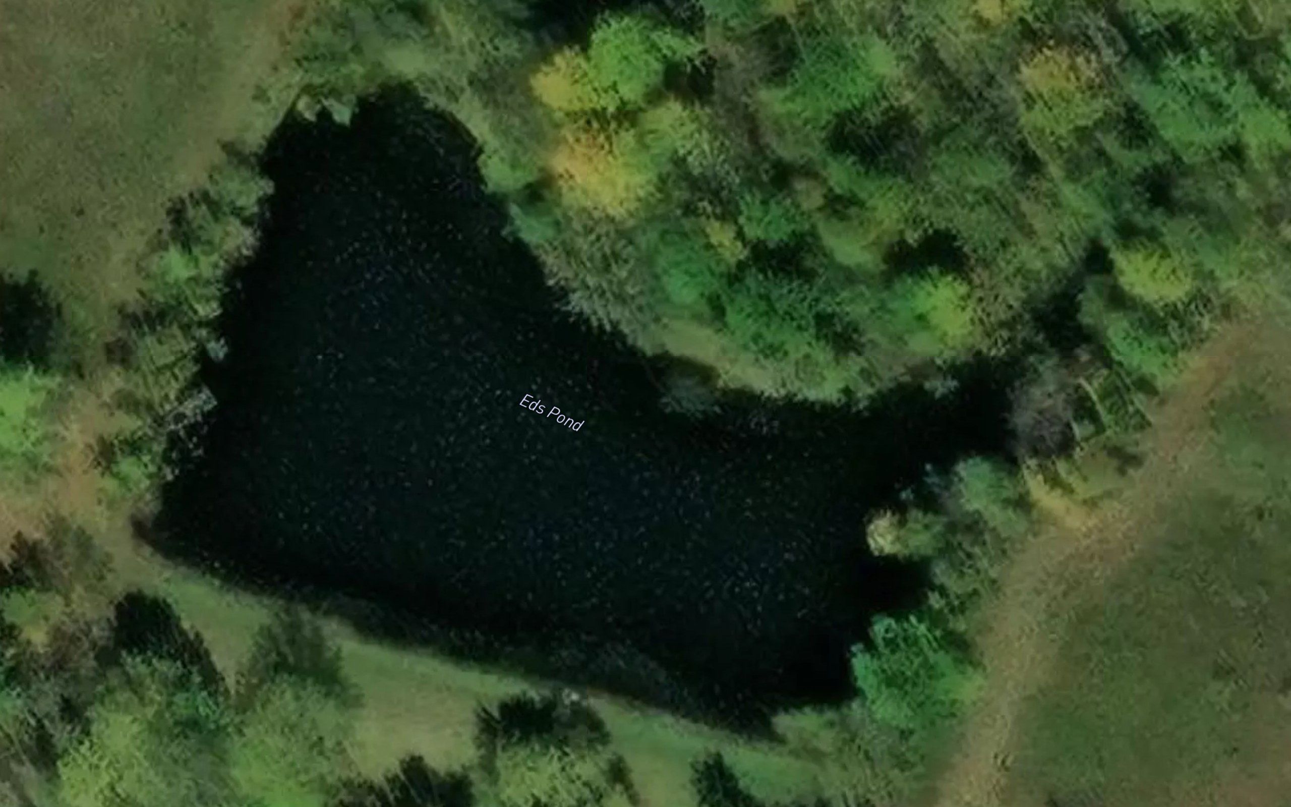 Eds Pond
