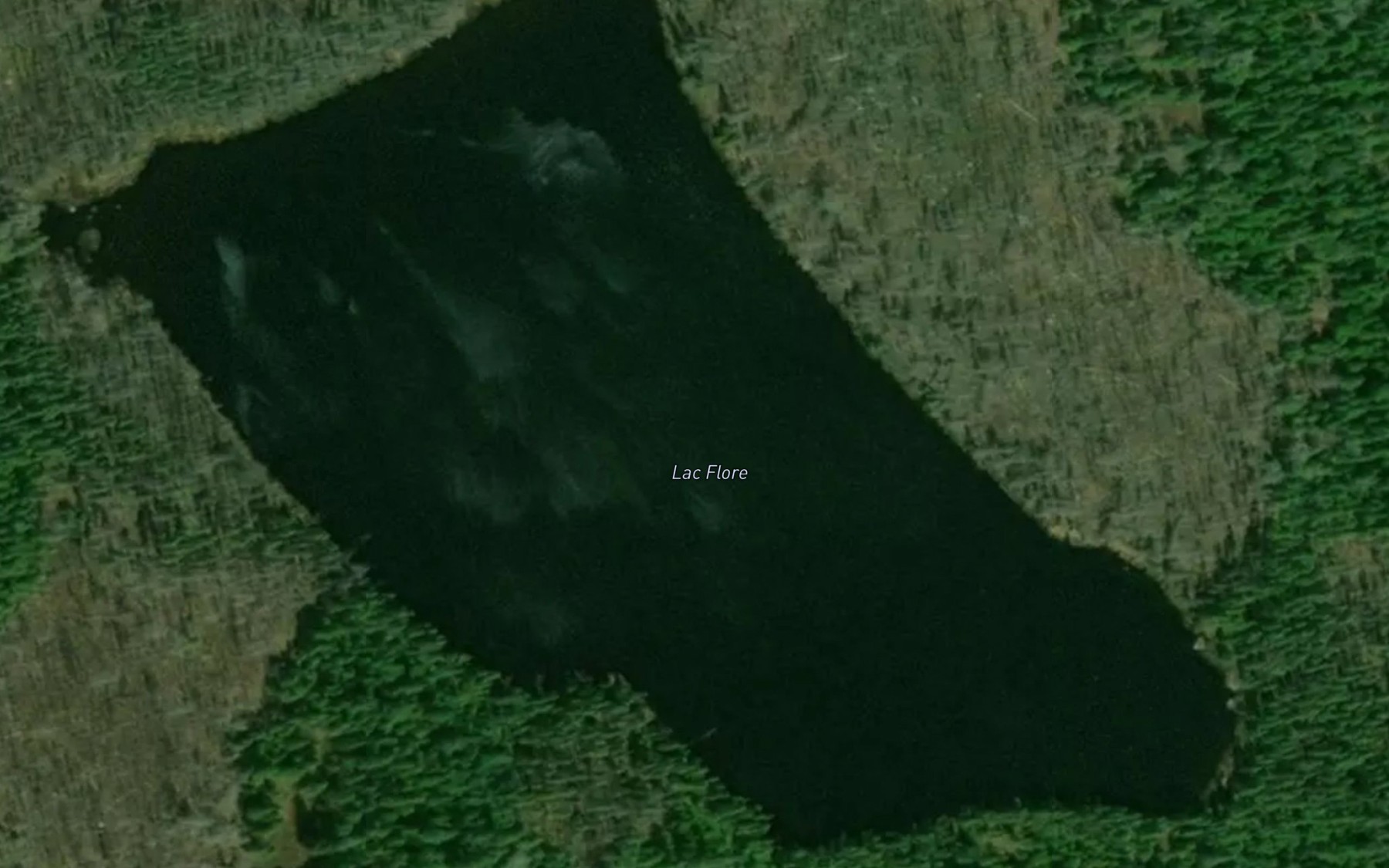 Satellite map of the Lac Flore