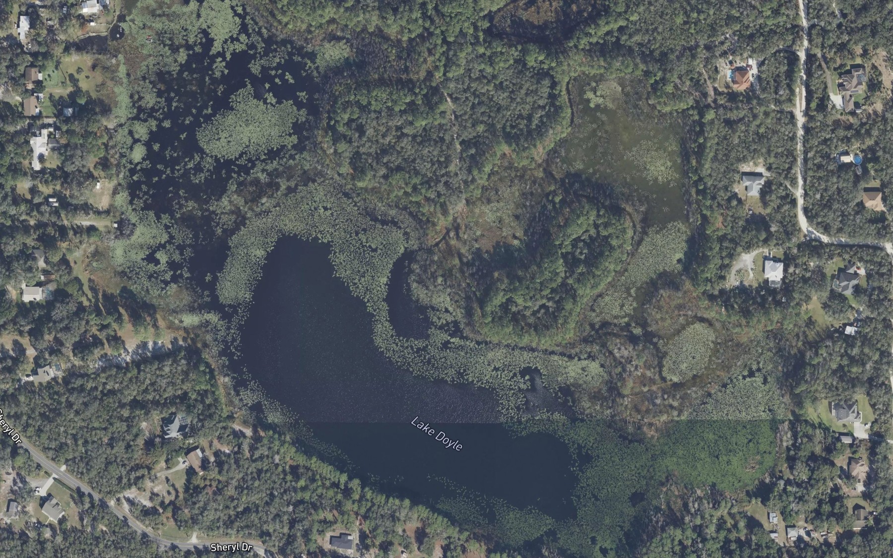Satellite map of the Lake Doyle