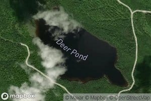 Deer Pond