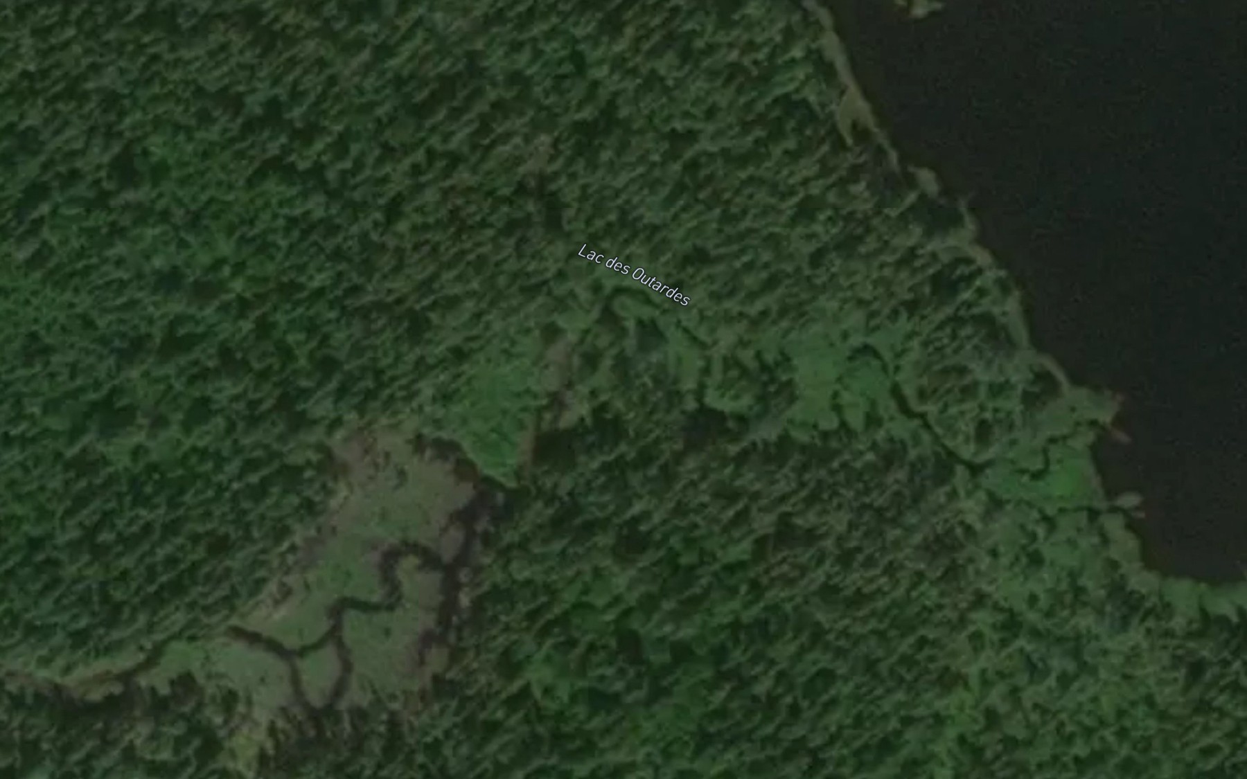 Satellite map of the Lac des Outardes