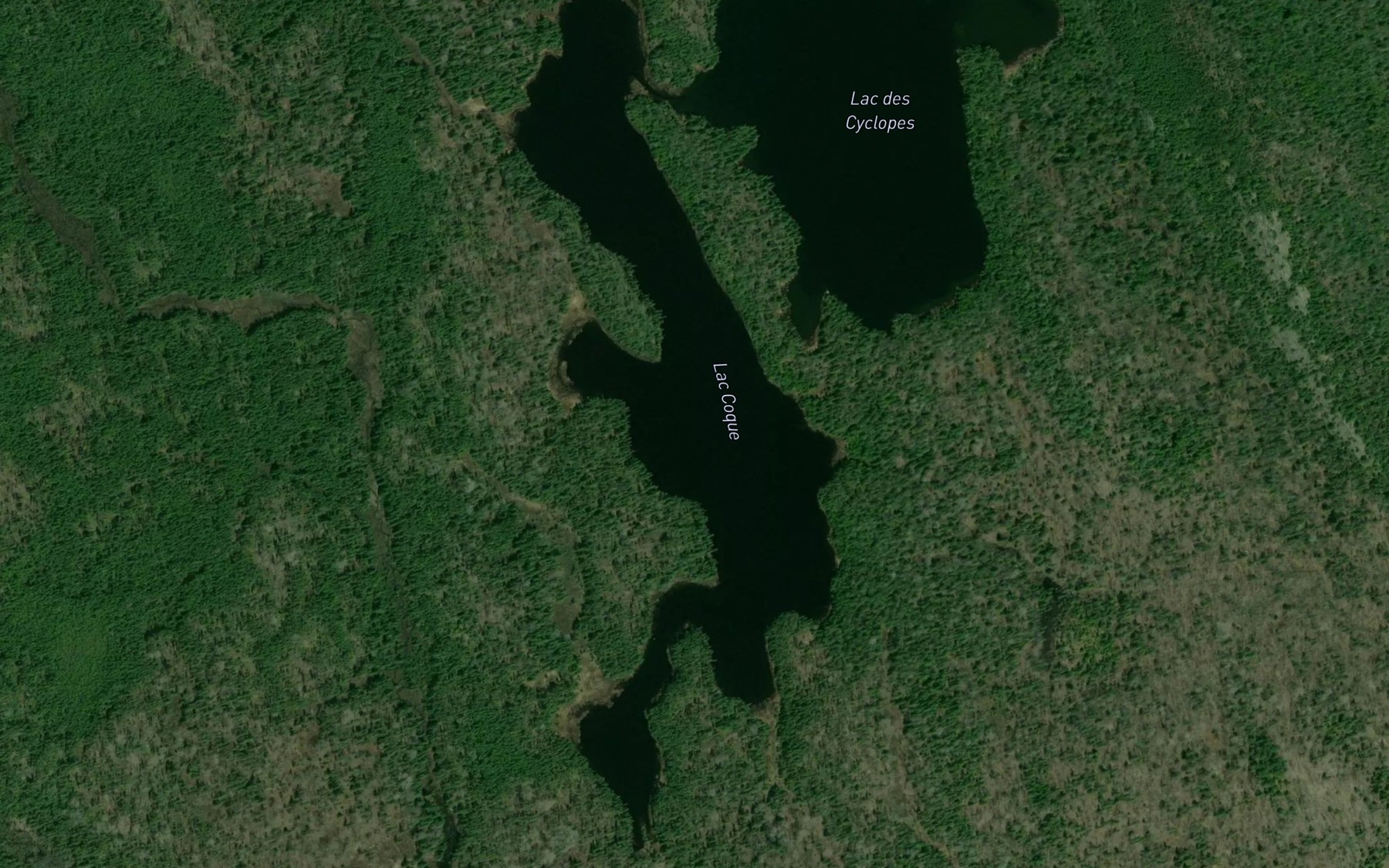 Satellite map of the Lac Coque