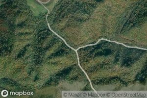 Left Fork Acord Branch