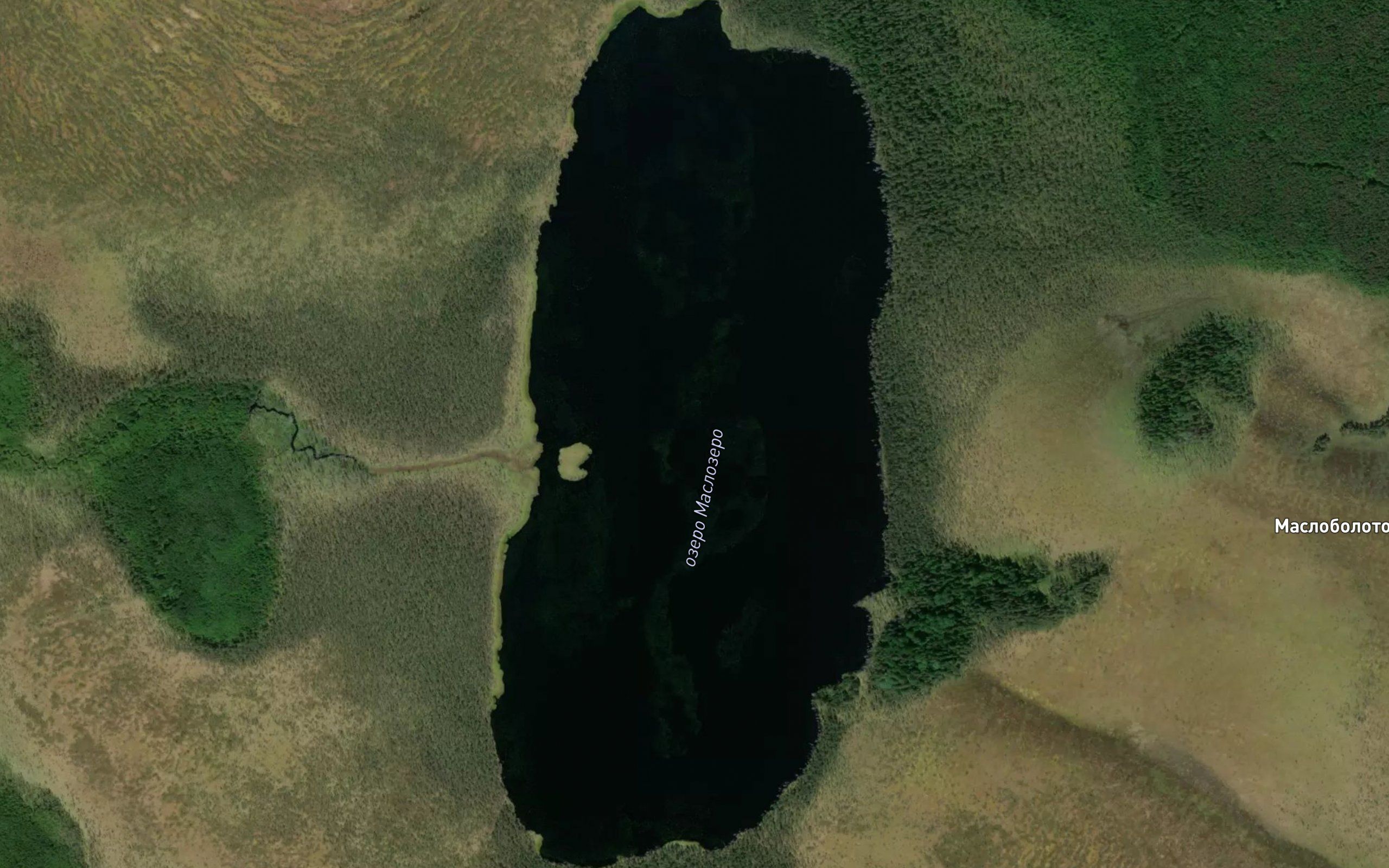 Ozero Maslozero
