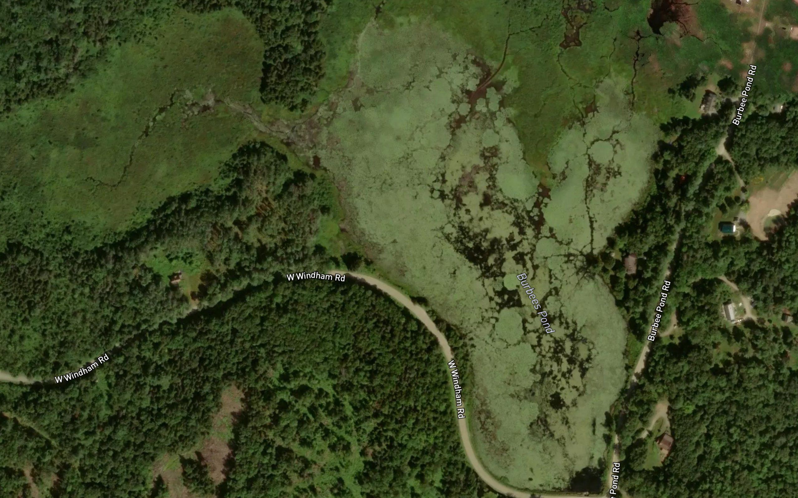 Burbees Pond
