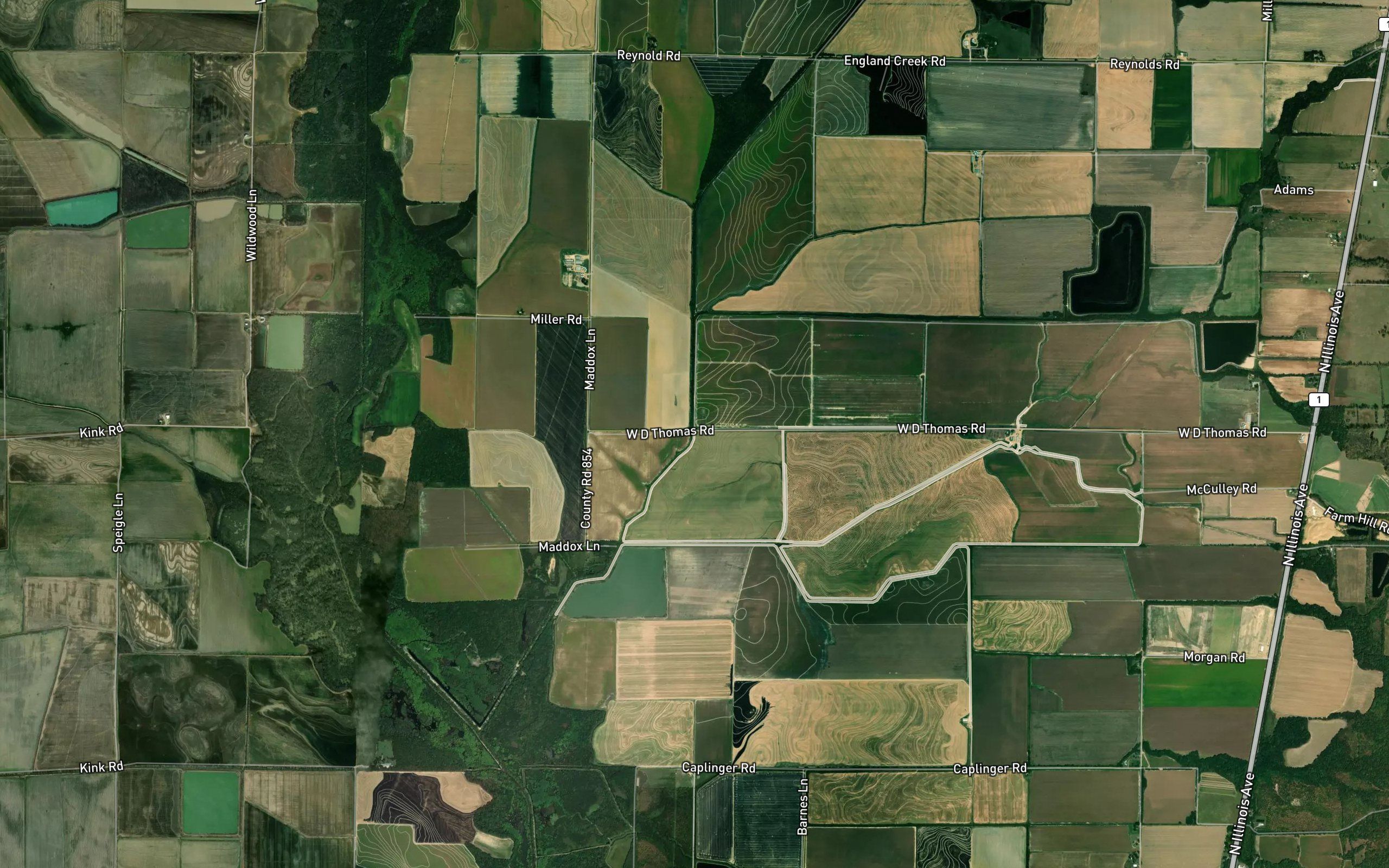 Mardis Branch