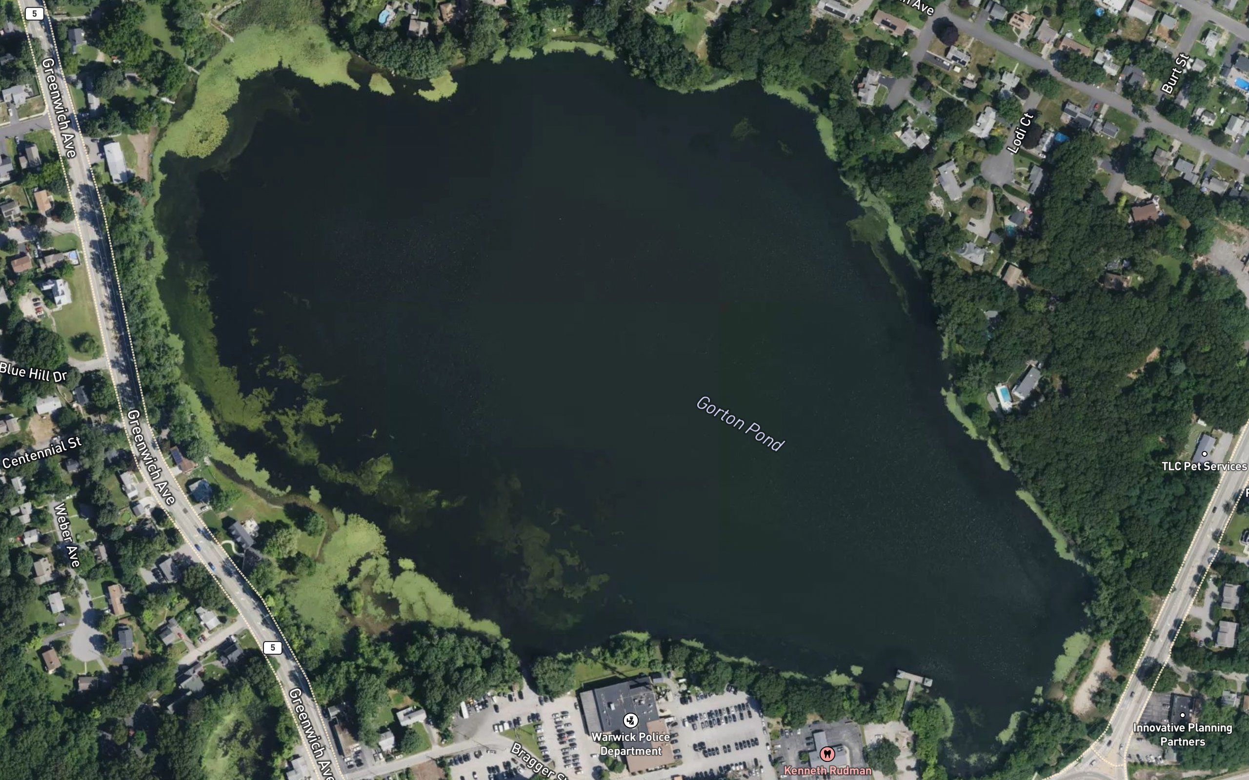 Gorton Pond