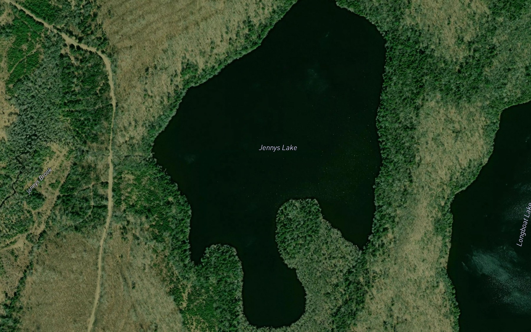 Satellite map of the Jennys Lake