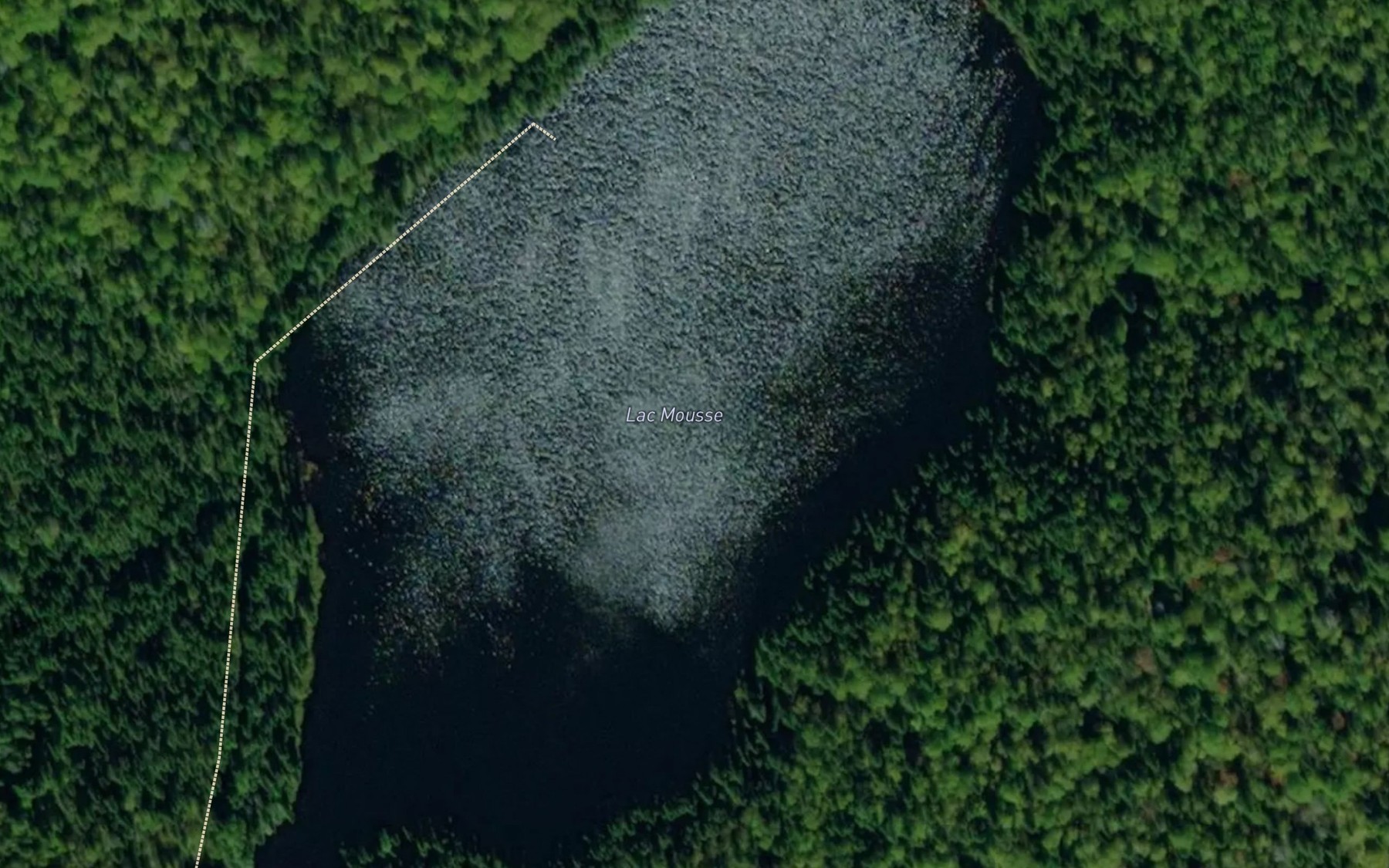 Satellite map of the Lac Mousse