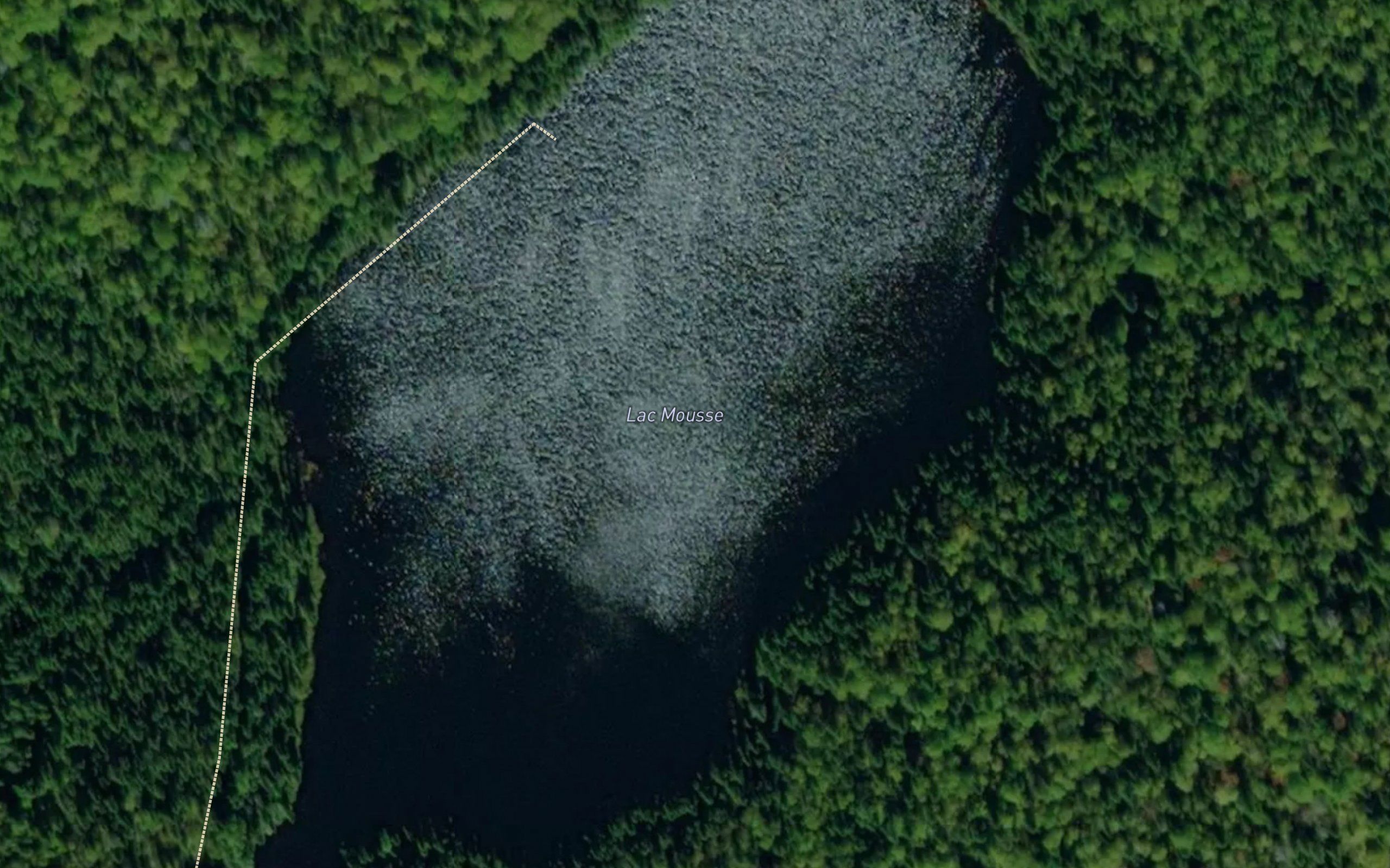 Lac Mousse
