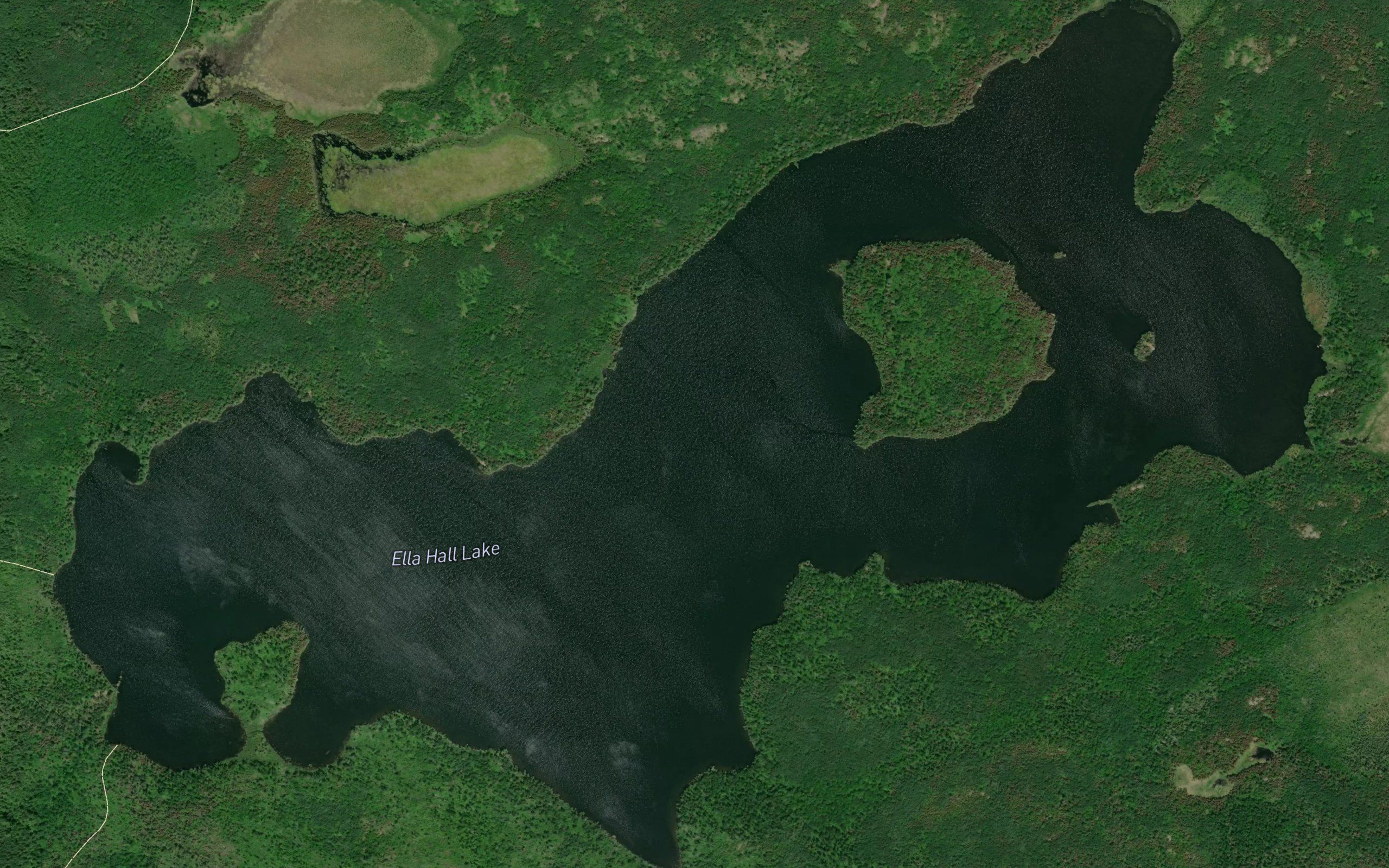 Ella Hall Lake