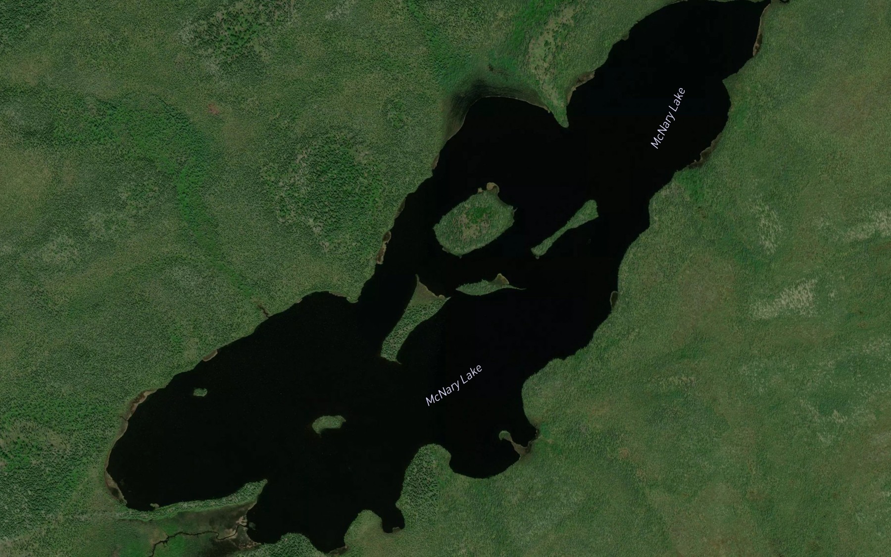 Satellite map of the McNary Lake