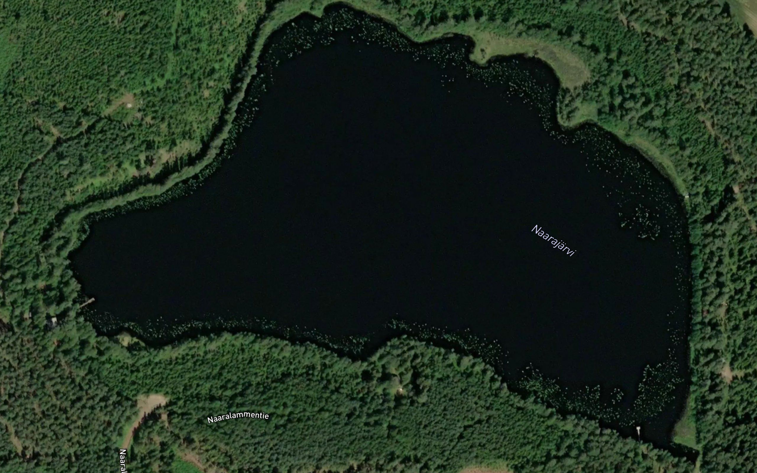 Naarajarvi