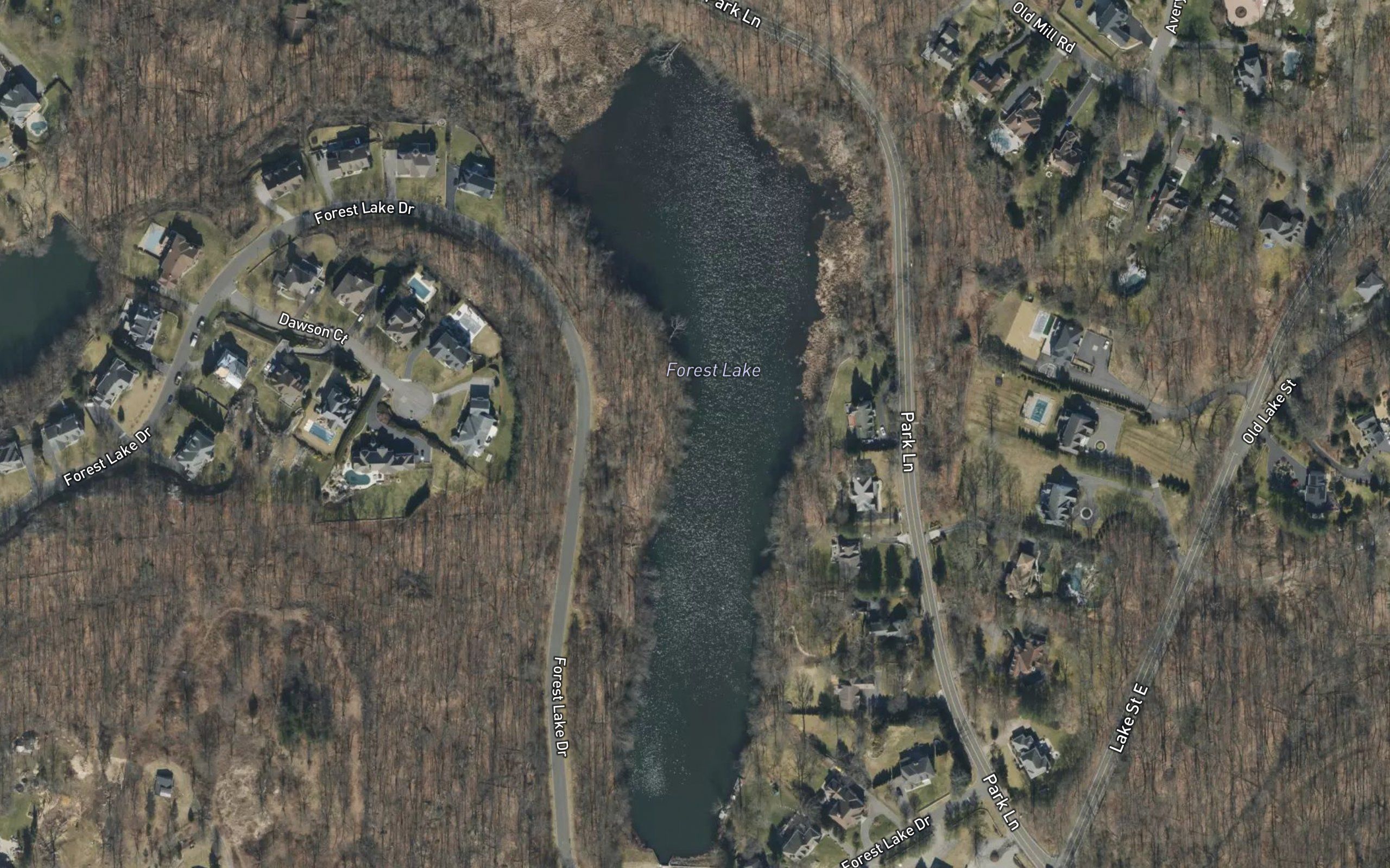Forest Lake