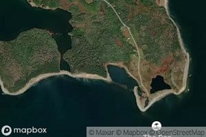 Saltwater Pond