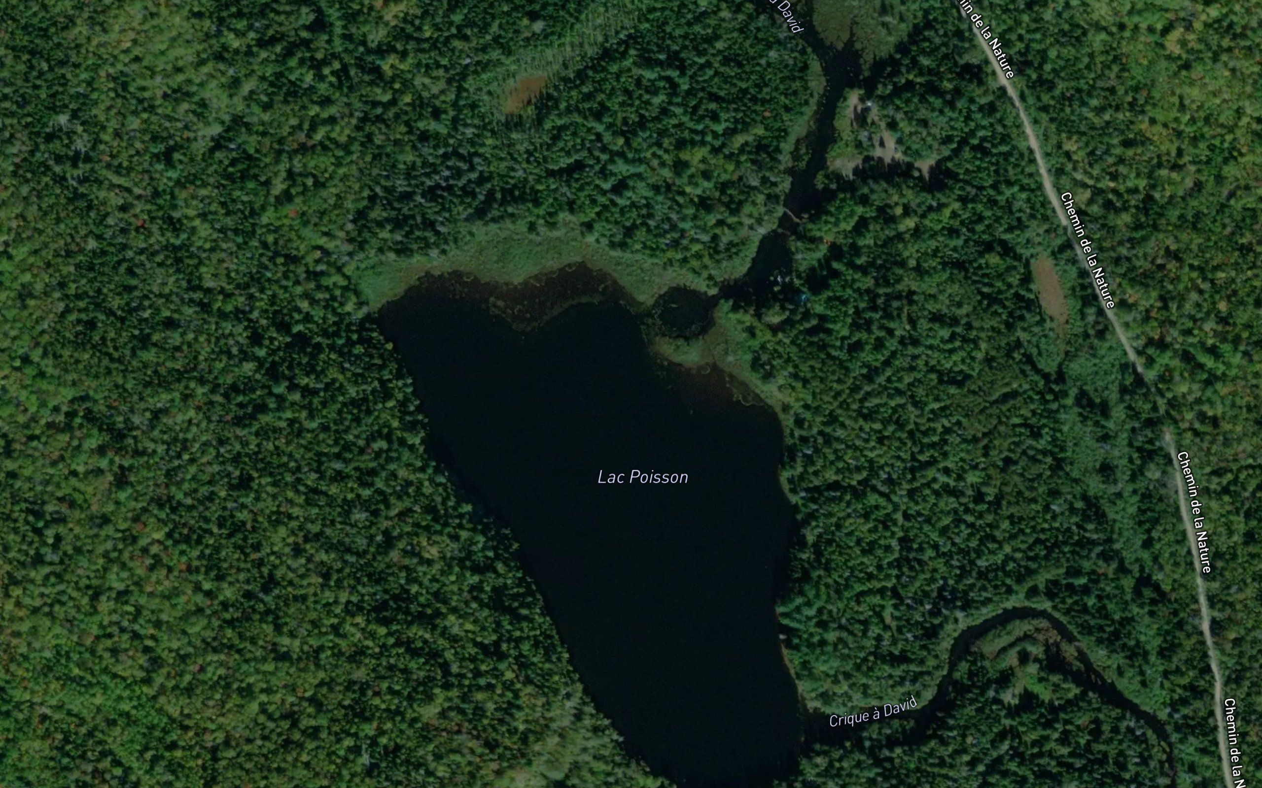 Lac Poisson